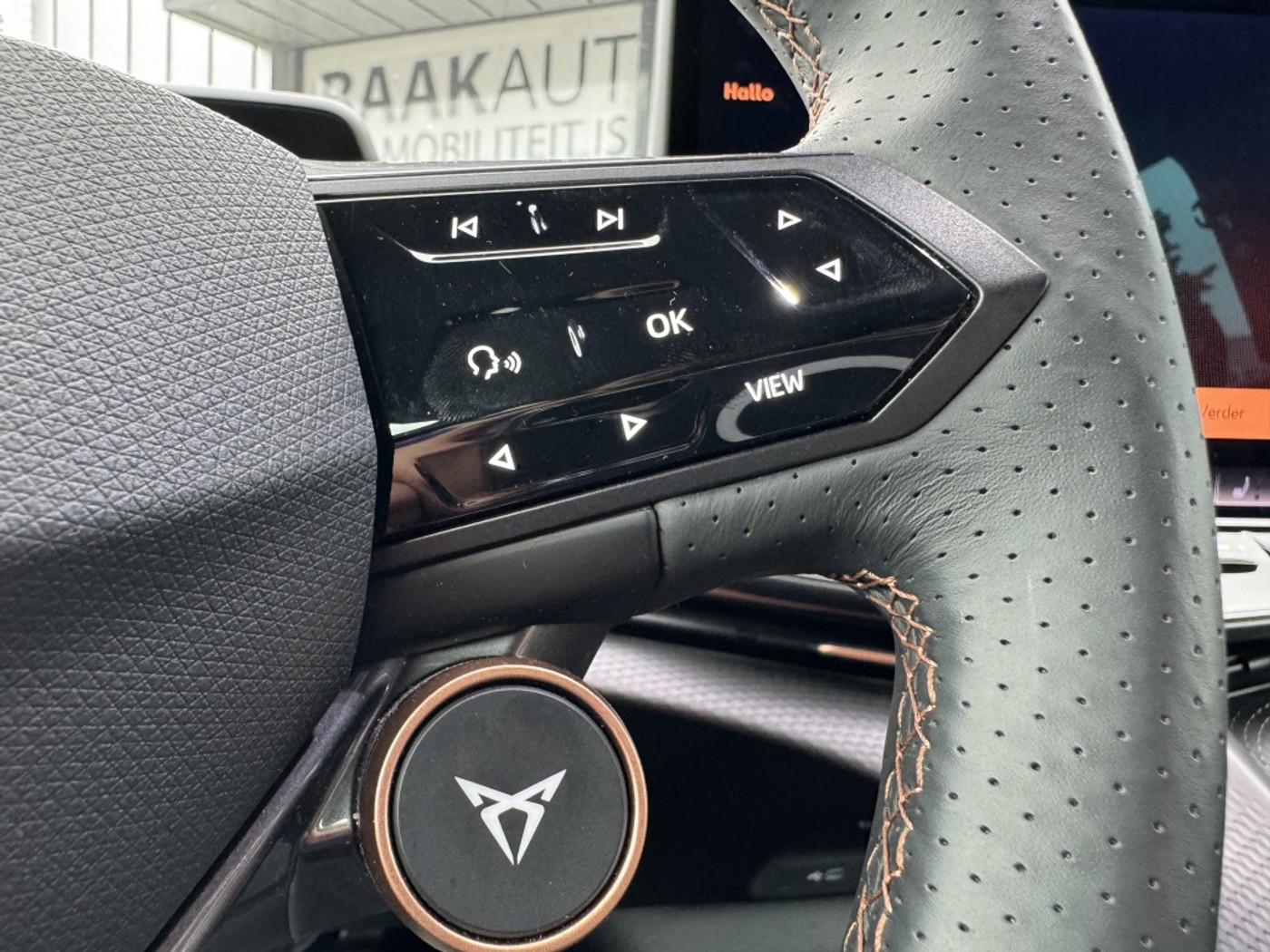 Foto van Cupra Tavascan
