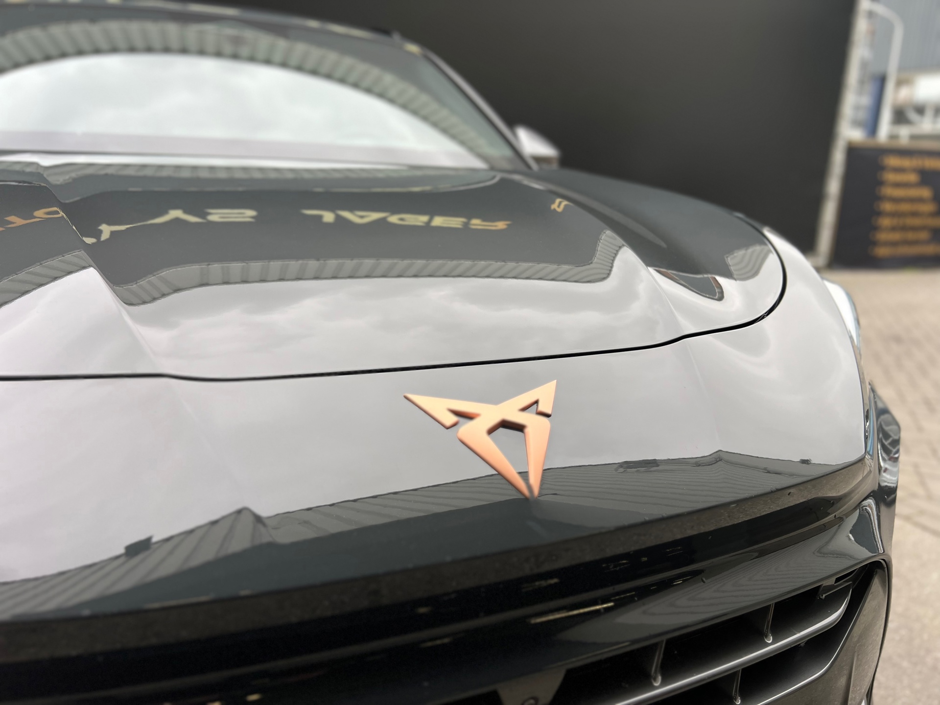 Foto van Cupra Terramar