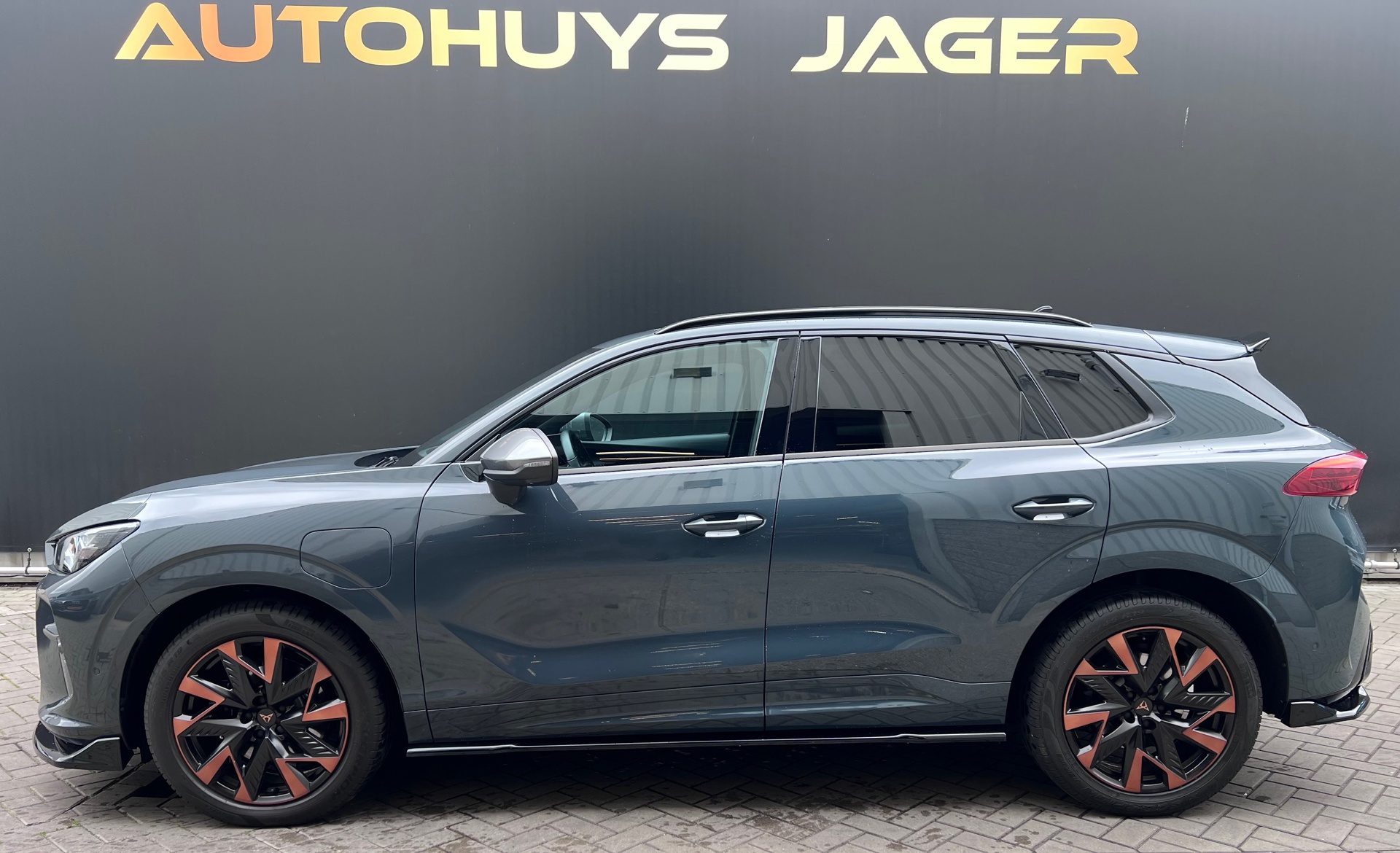 Foto van Cupra Terramar