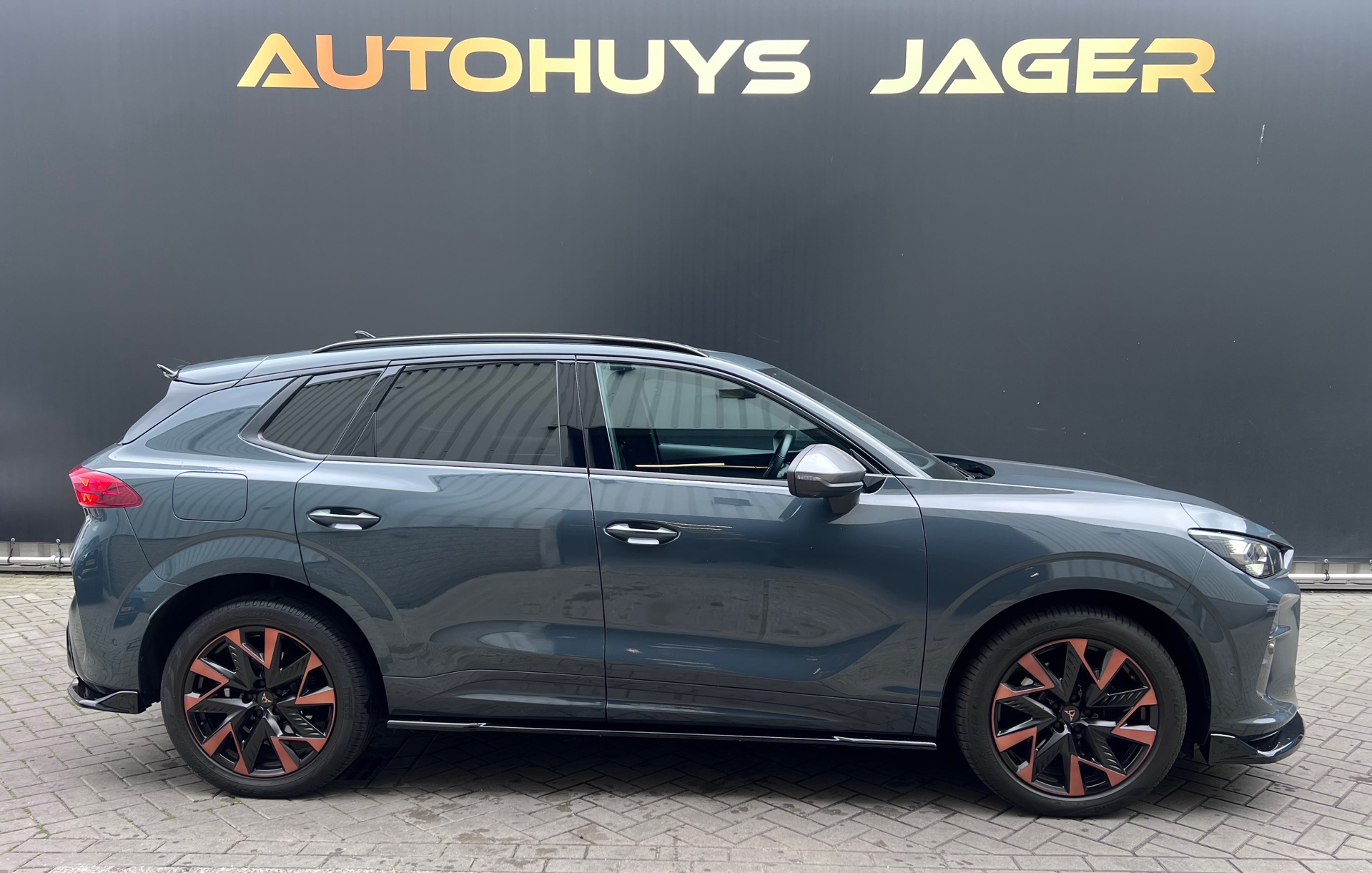 Foto van Cupra Terramar