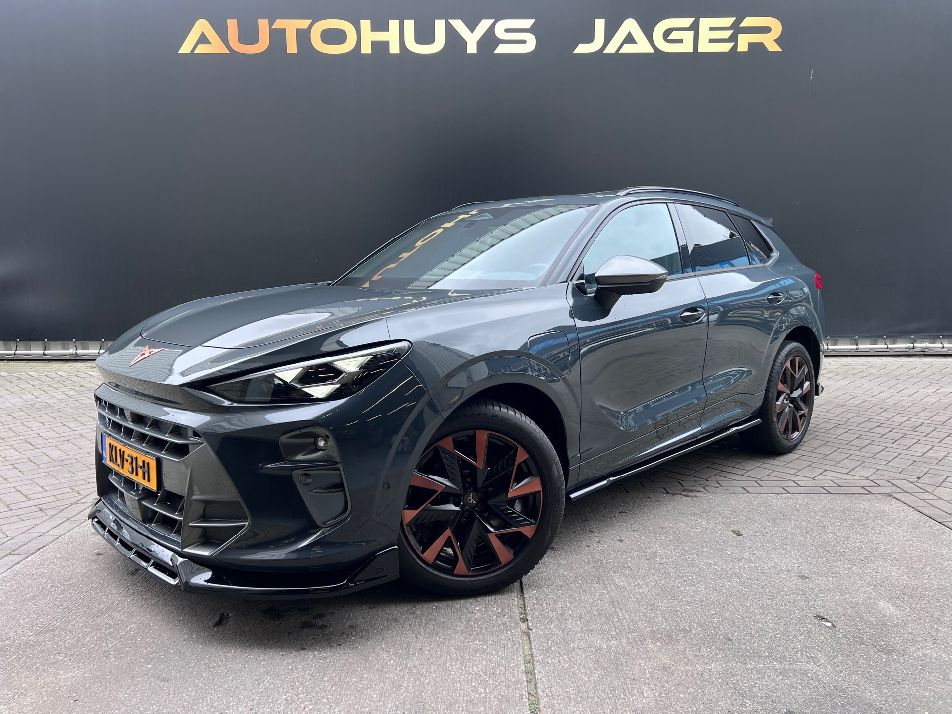 Foto van Cupra Terramar