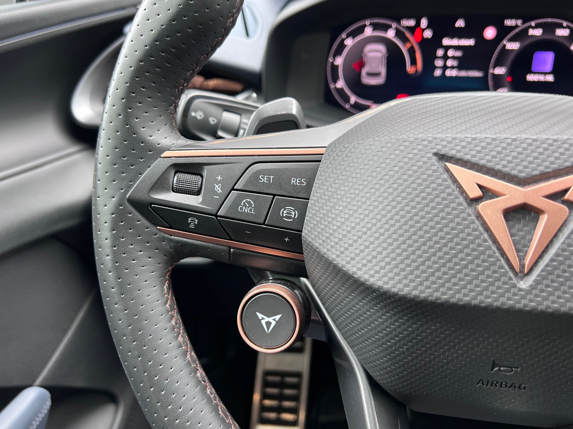 Foto van Cupra Terramar