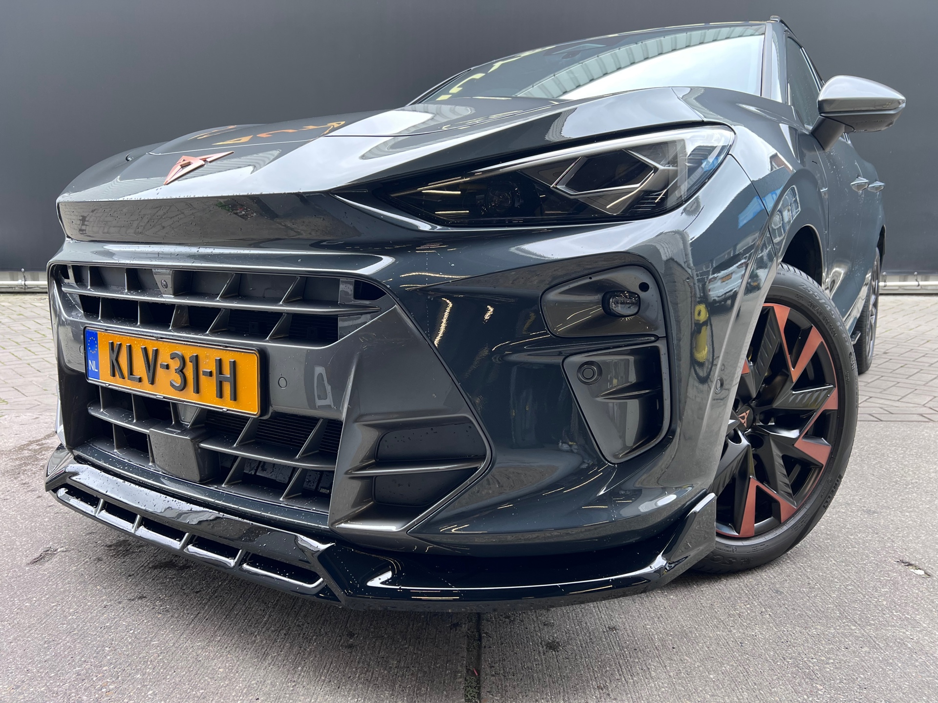 Foto van Cupra Terramar