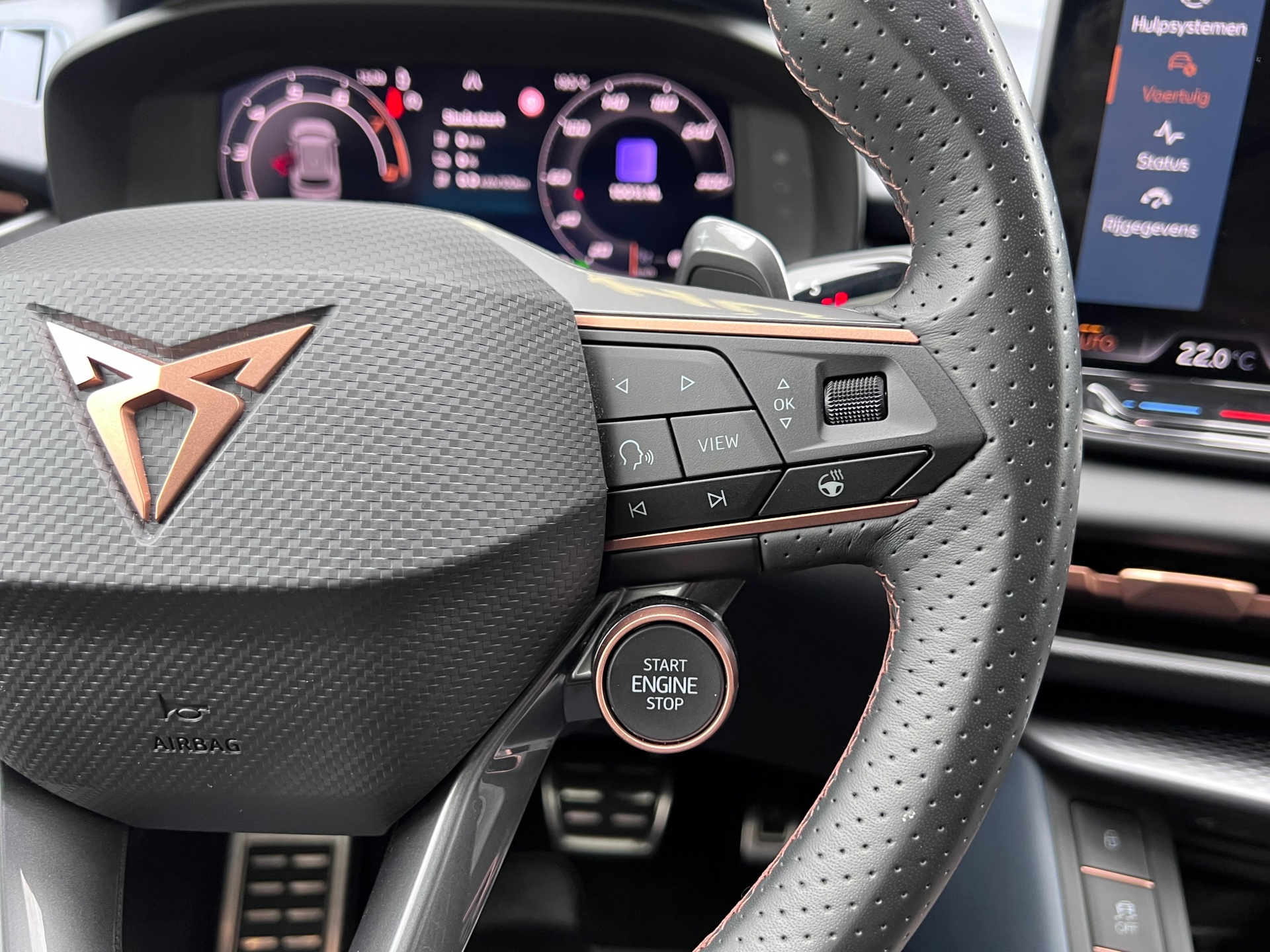 Foto van Cupra Terramar