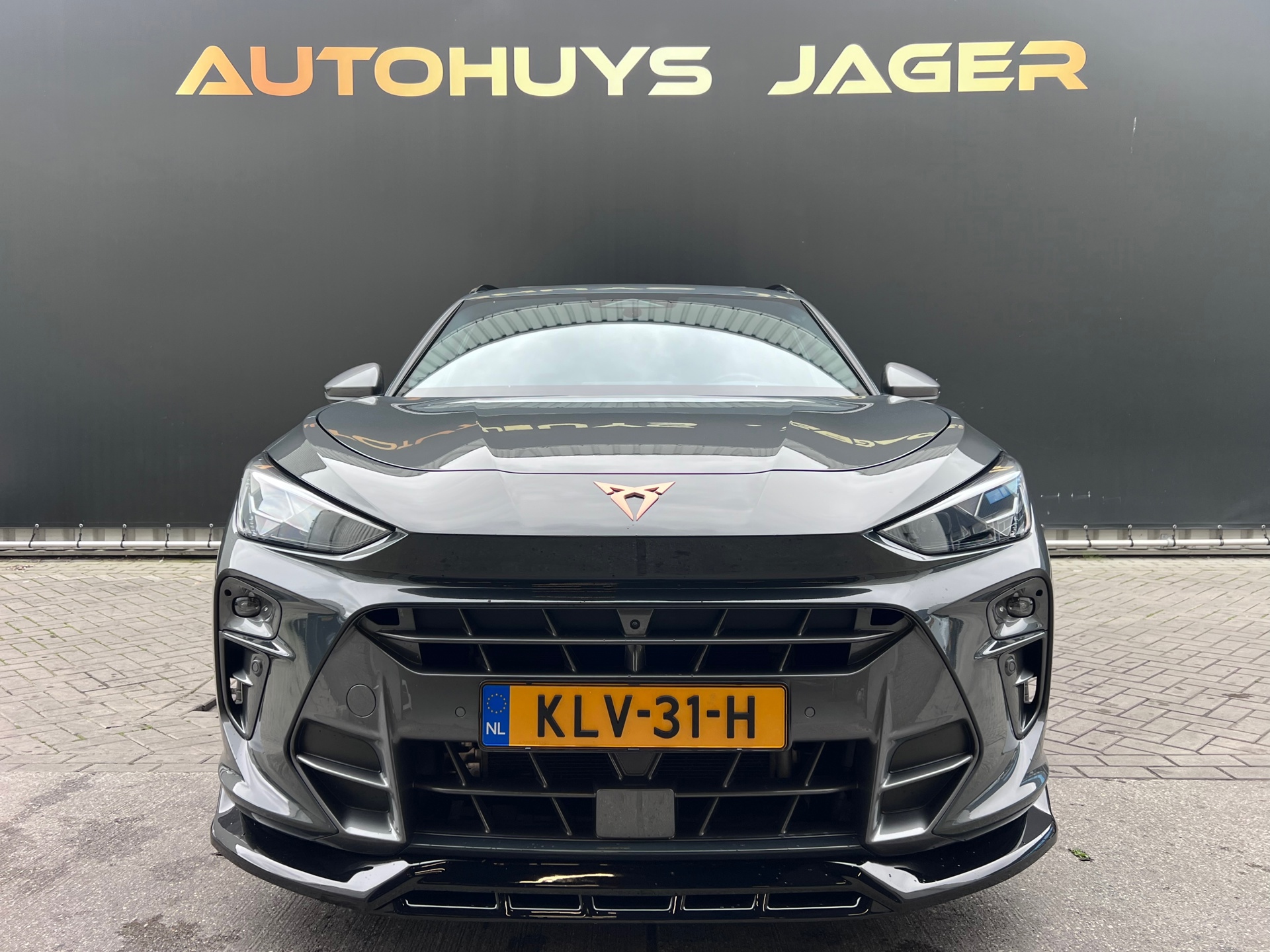 Foto van Cupra Terramar