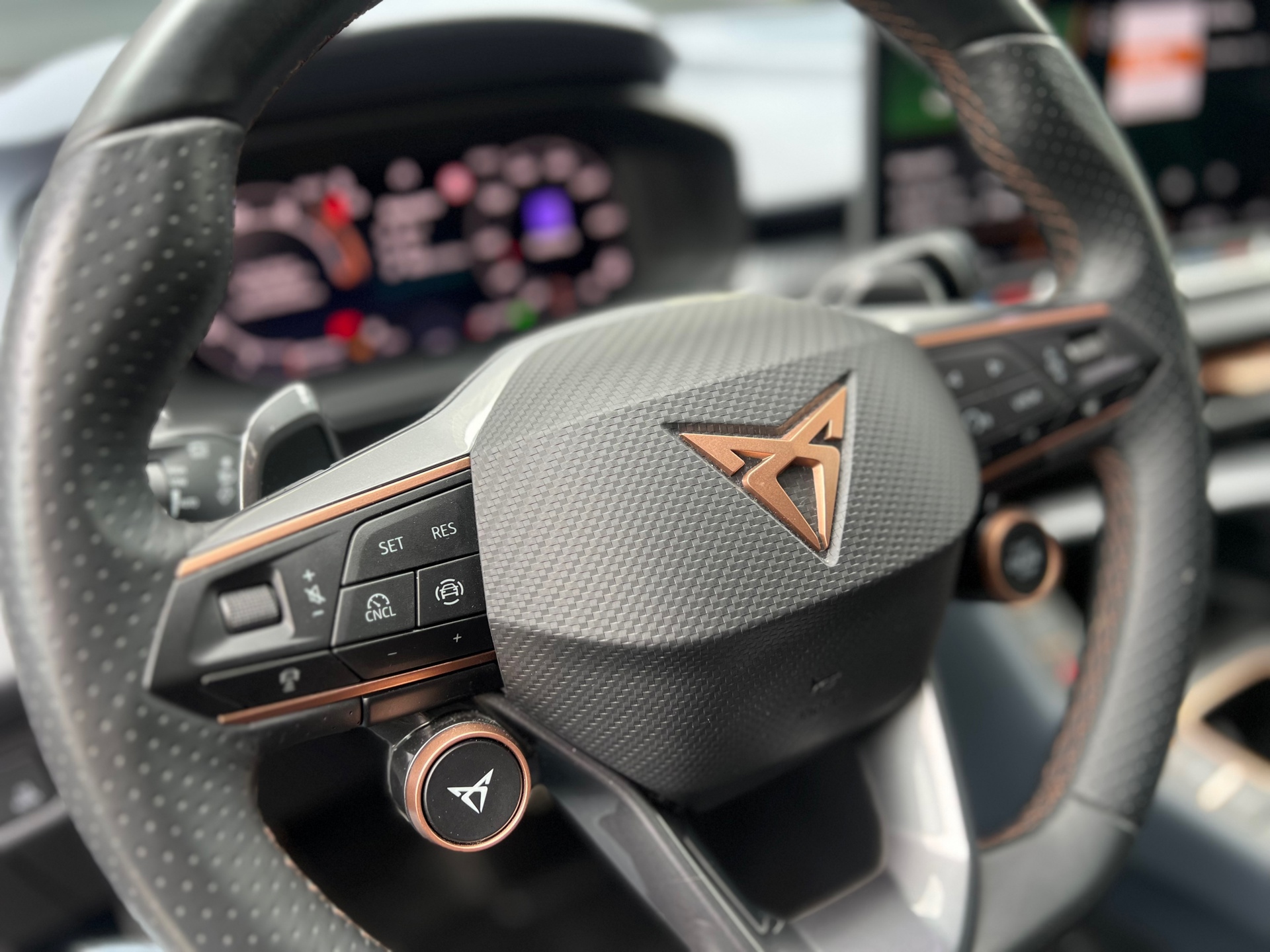 Foto van Cupra Terramar