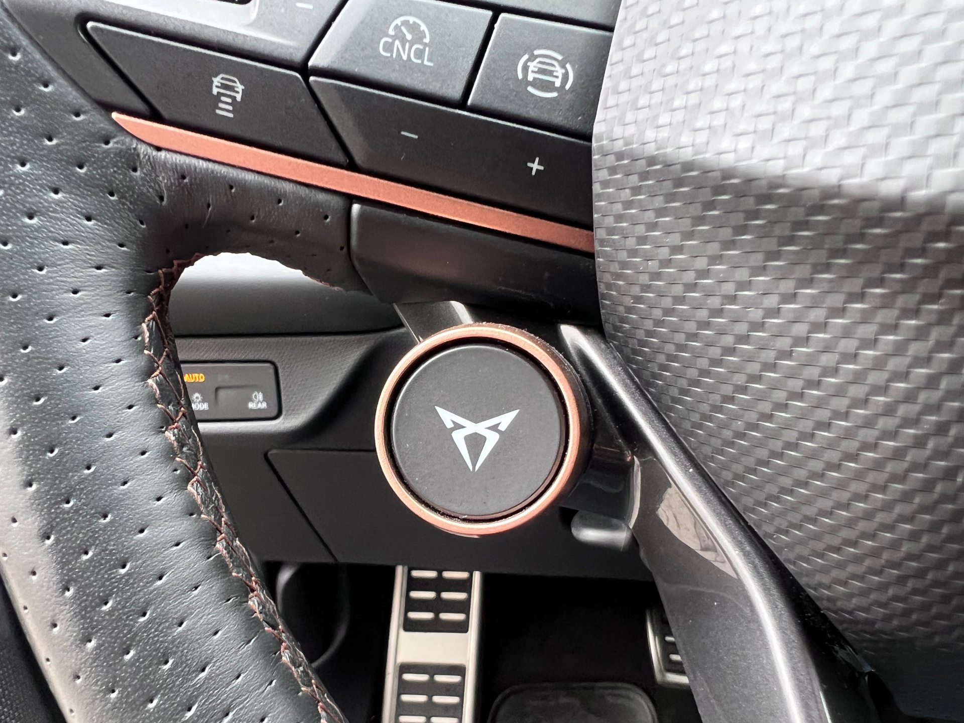 Foto van Cupra Terramar
