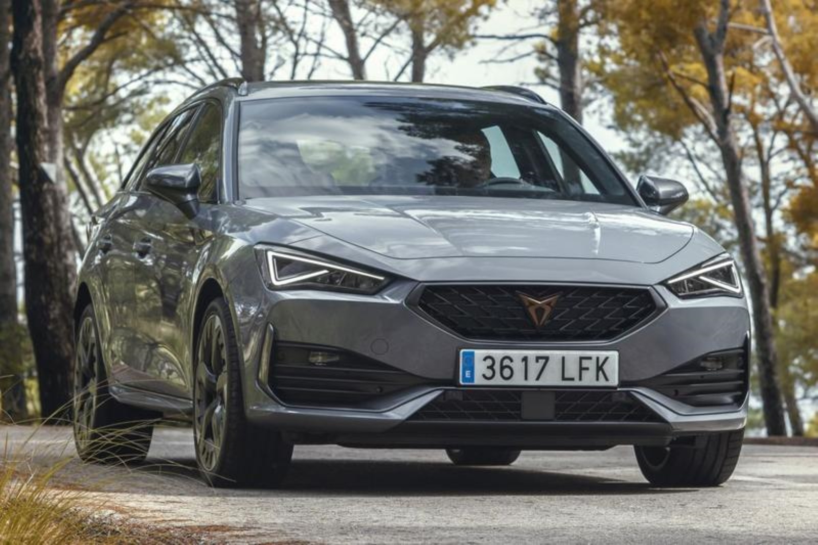 Foto van Cupra Leon Sportstourer
