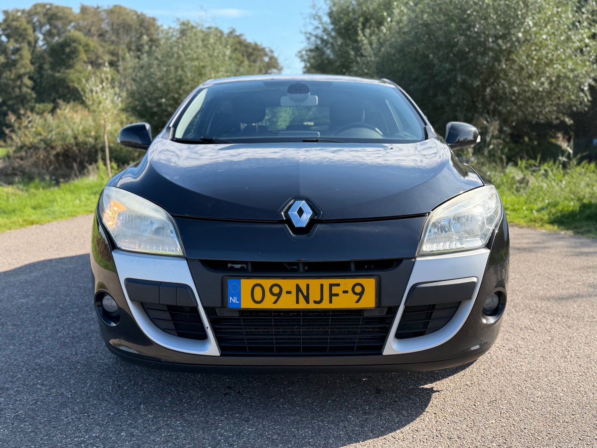 Foto van Renault Megane