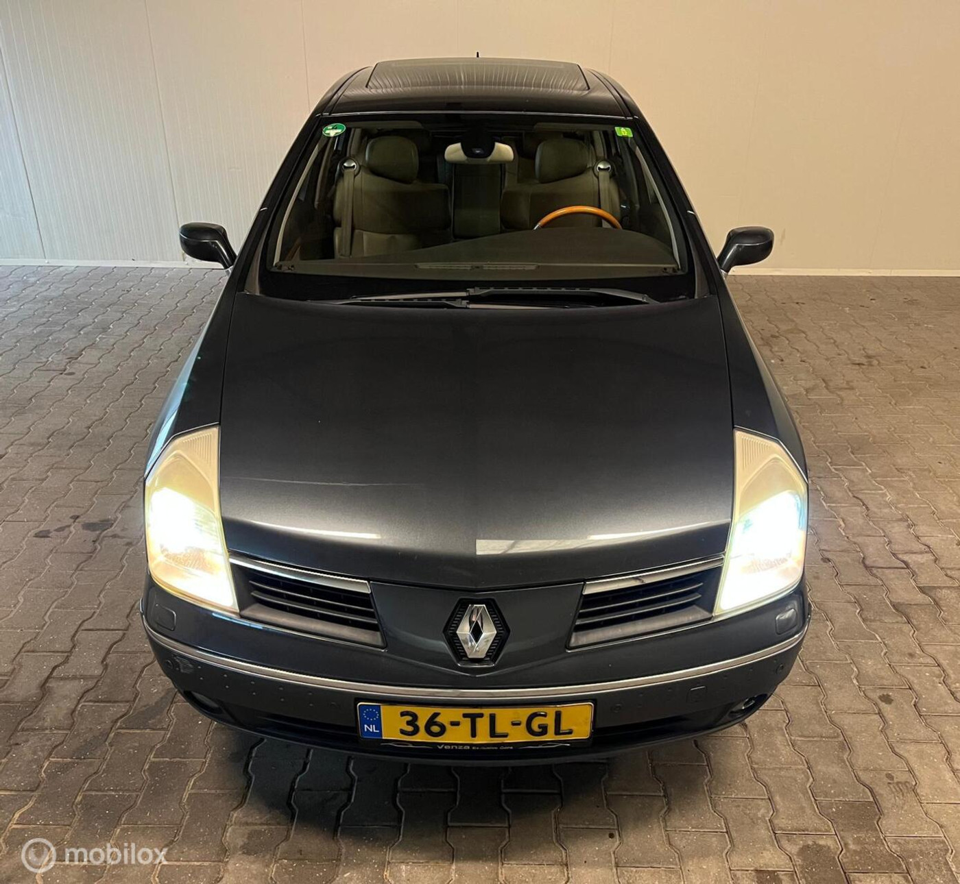 Foto van Renault Vel Satis