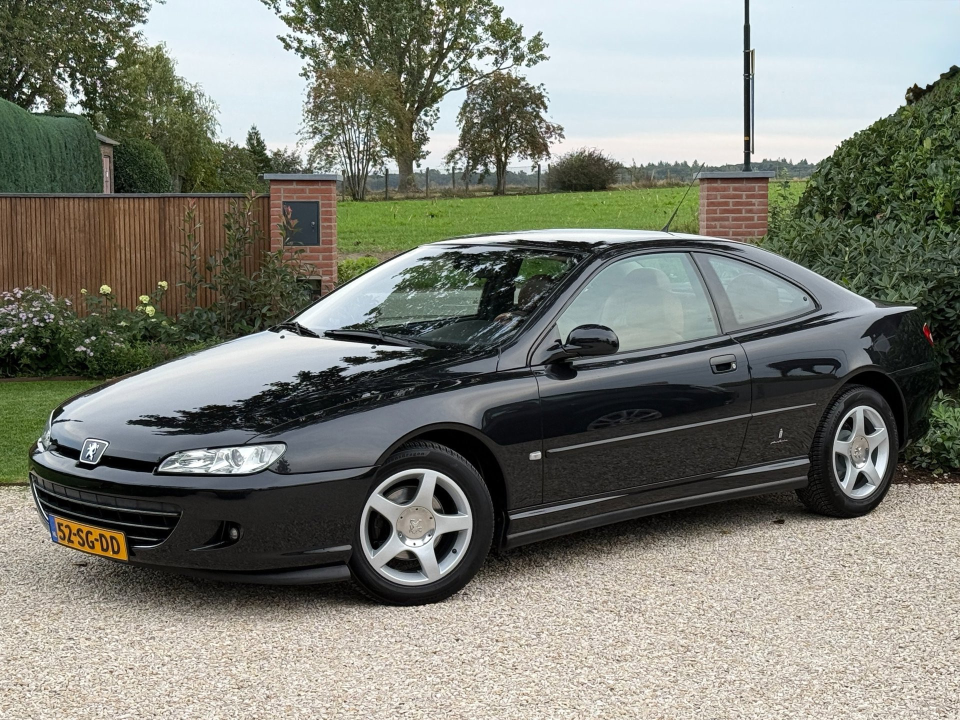 Peugeot 406 2.2-16V 1E EIGENAAR *DEALER ONDERHOUDEN* 2005 - voorkant
