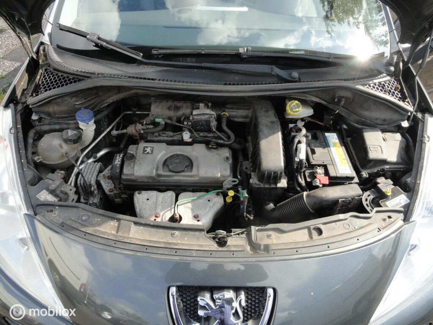 Foto van Peugeot 207 SW