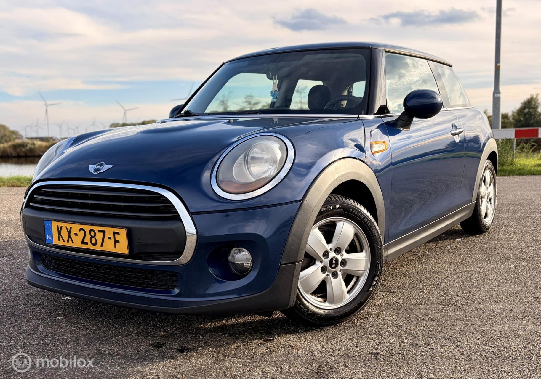Foto van Mini One D