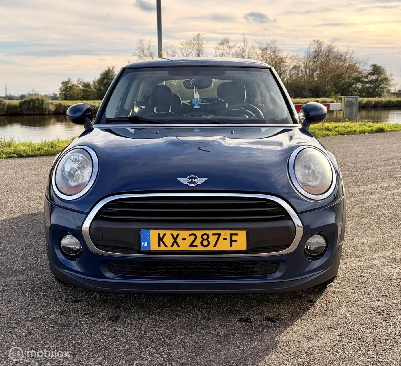 Foto van Mini One D