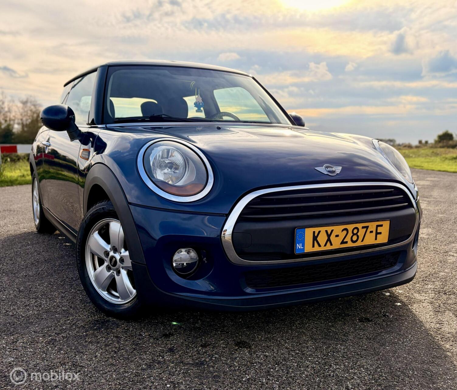 Foto van Mini One D