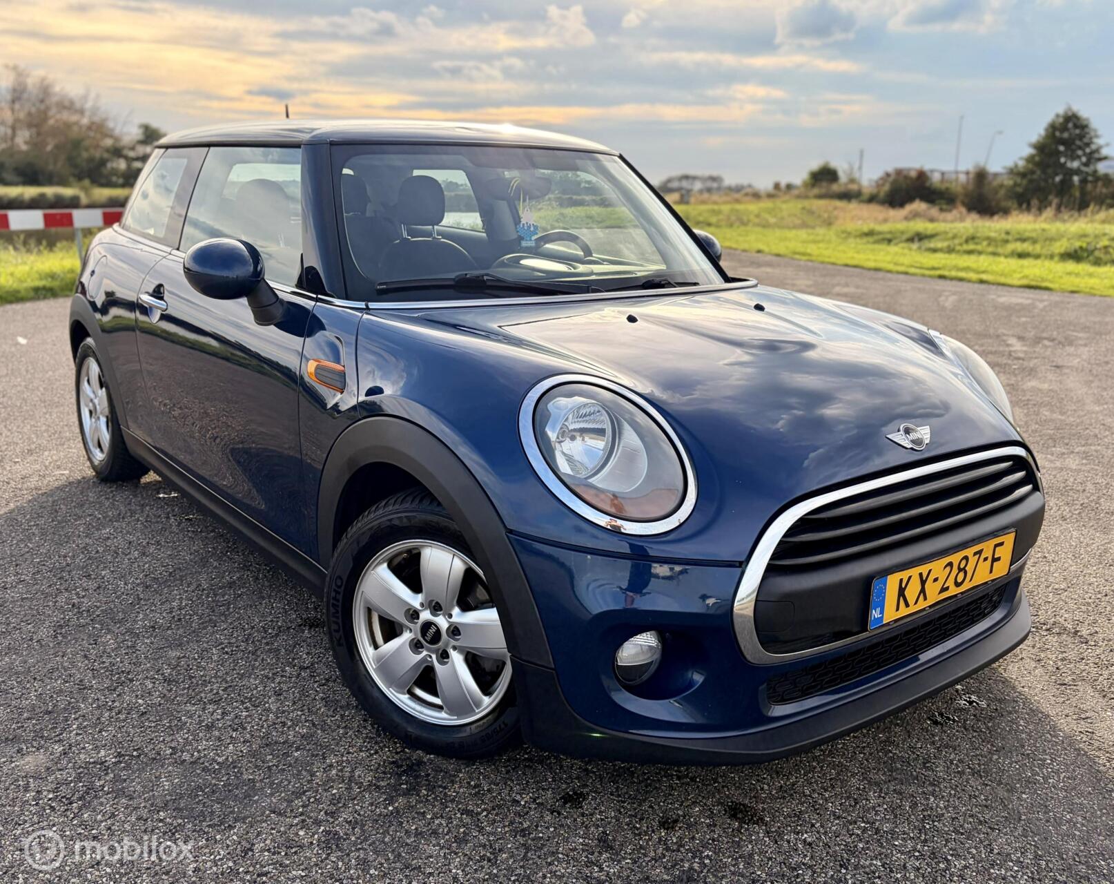 Foto van Mini One D