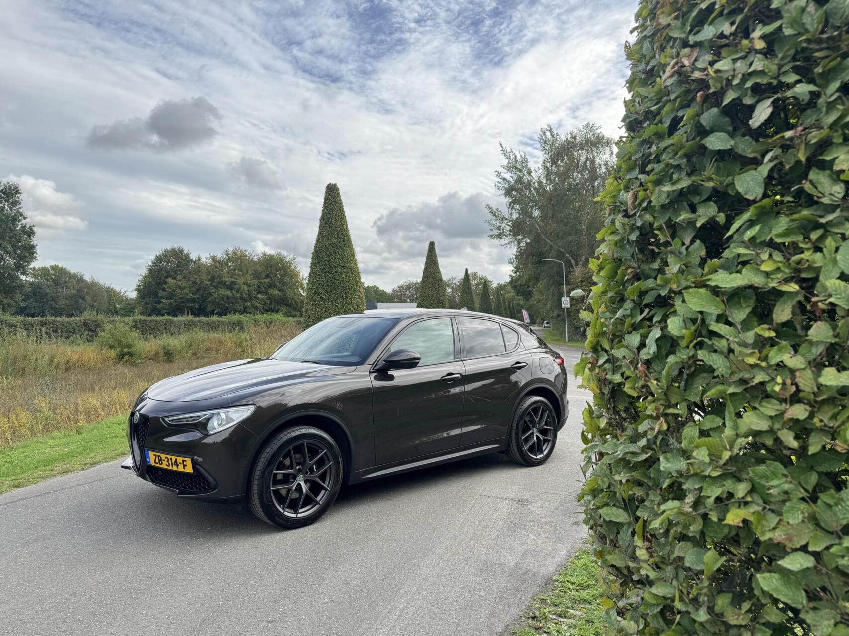 Foto van Alfa Romeo Stelvio