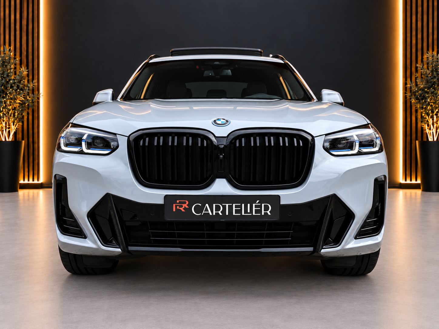 Foto van BMW X3
