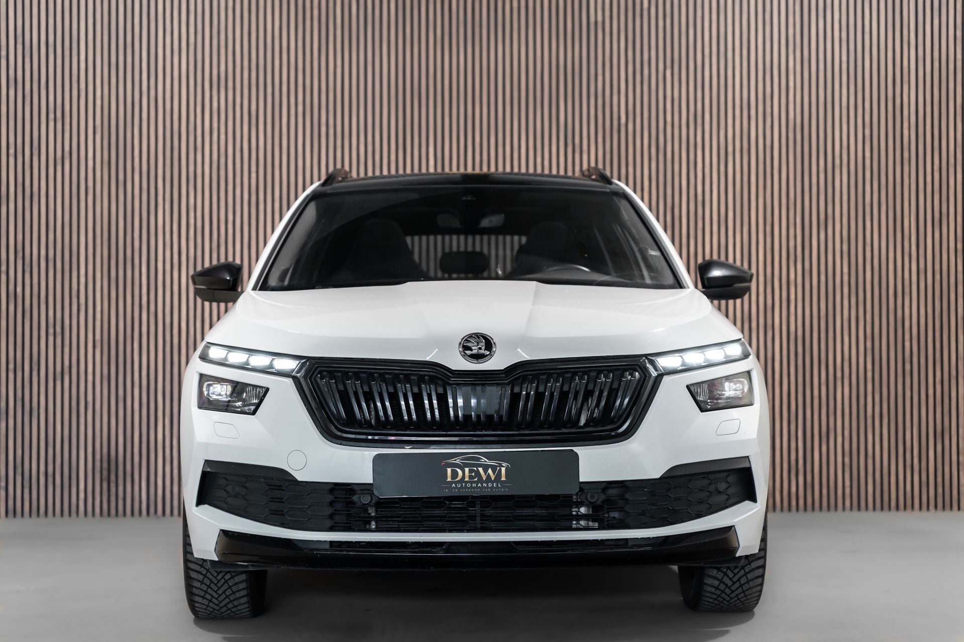Foto van Skoda Kamiq