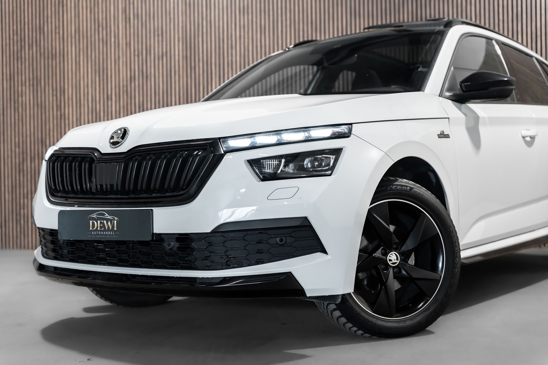 Foto van Skoda Kamiq