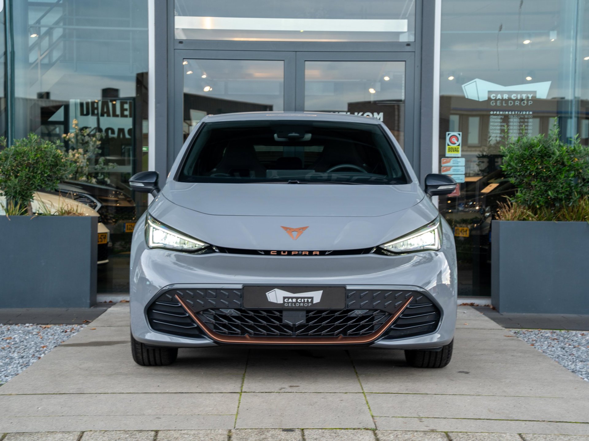 Foto van Cupra Born