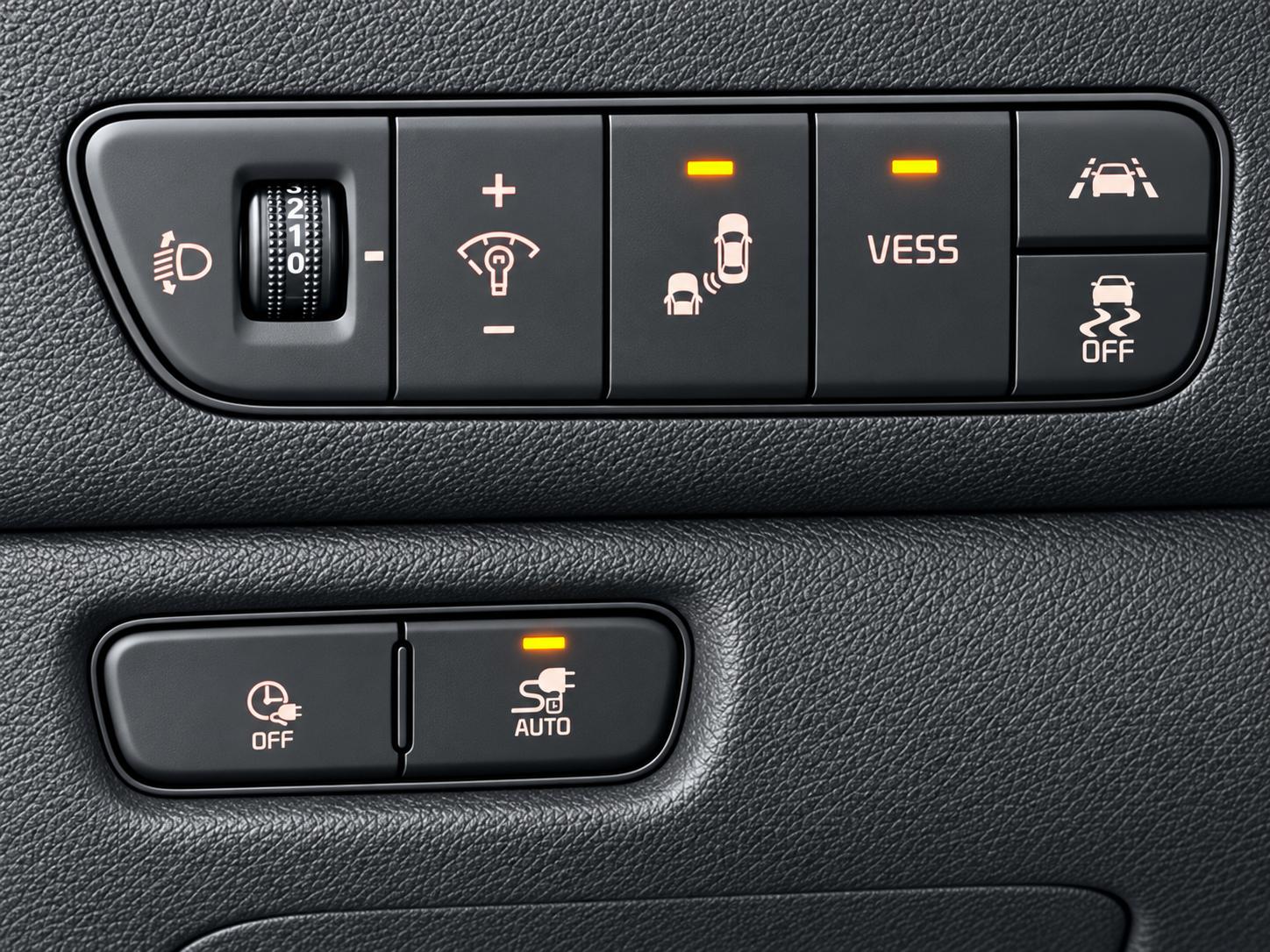 Foto van Kia Niro