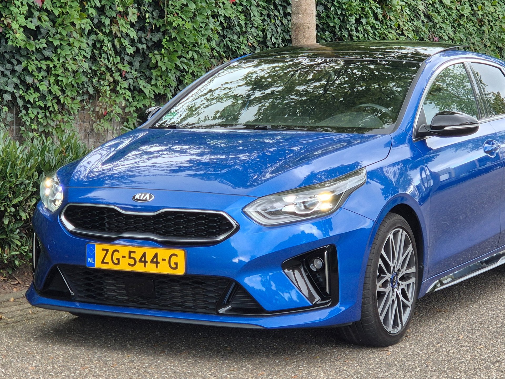 Foto van Kia Proceed