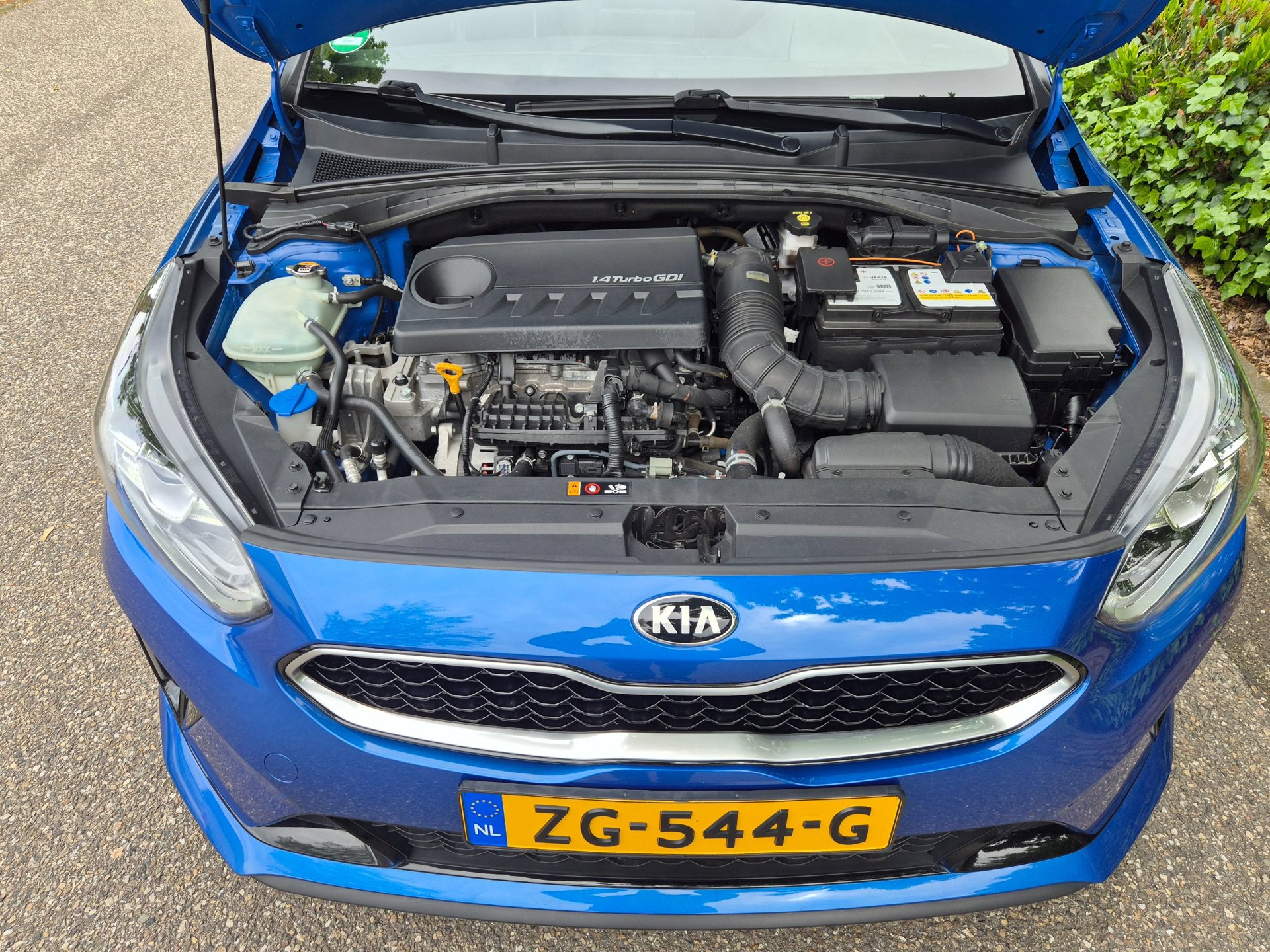 Foto van Kia Proceed