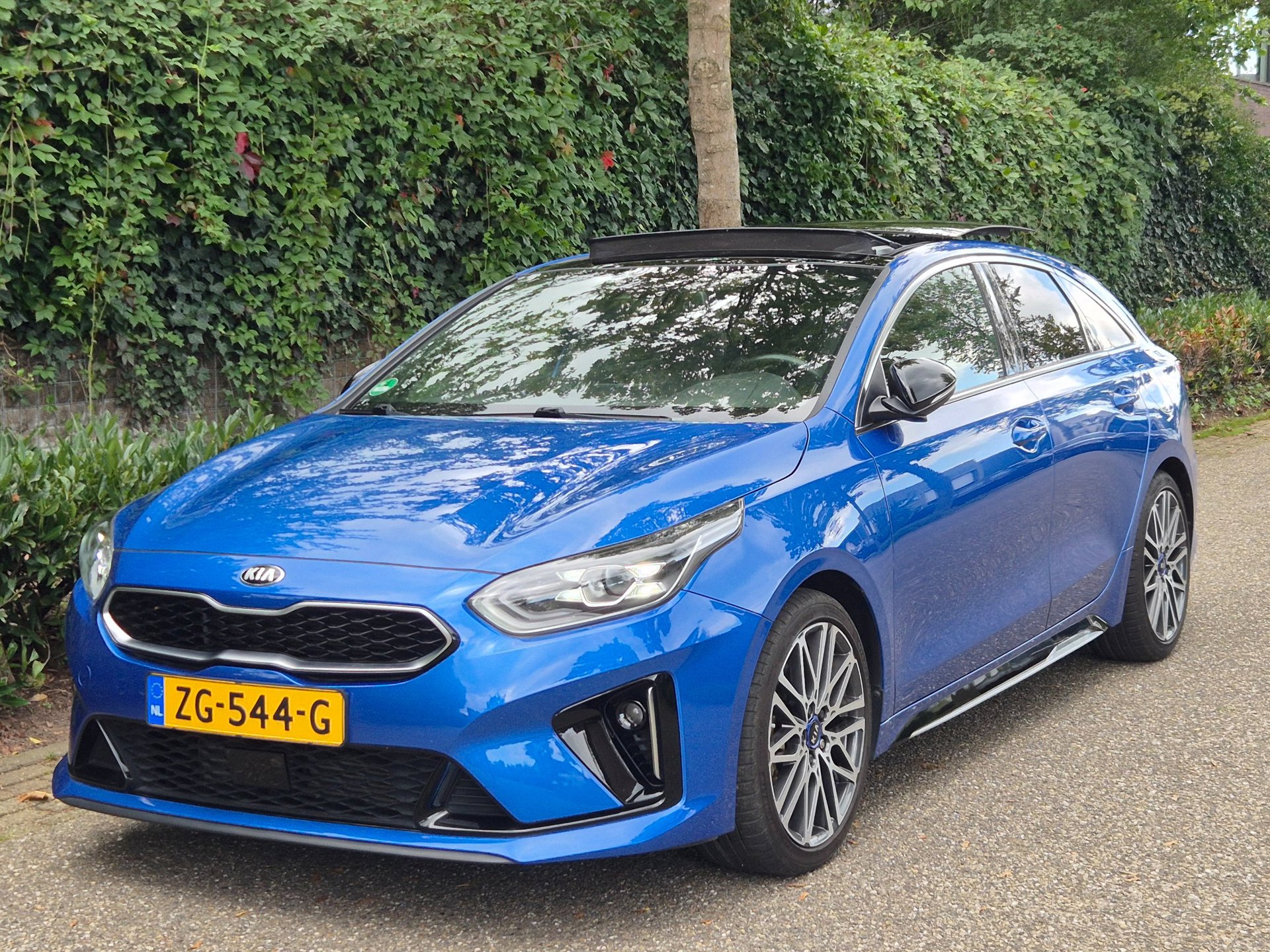Foto van Kia Proceed