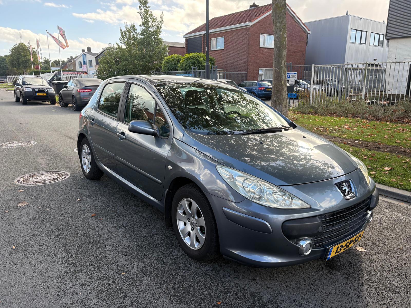Foto van Peugeot 307