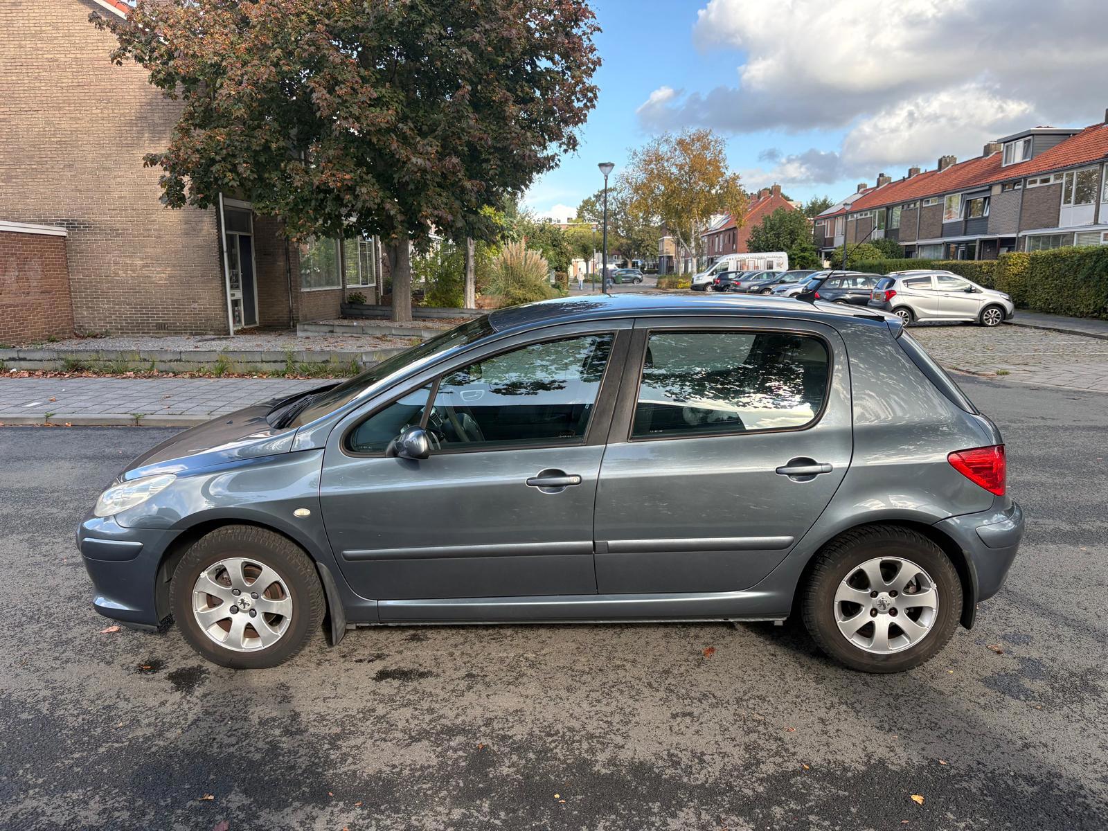 Foto van Peugeot 307