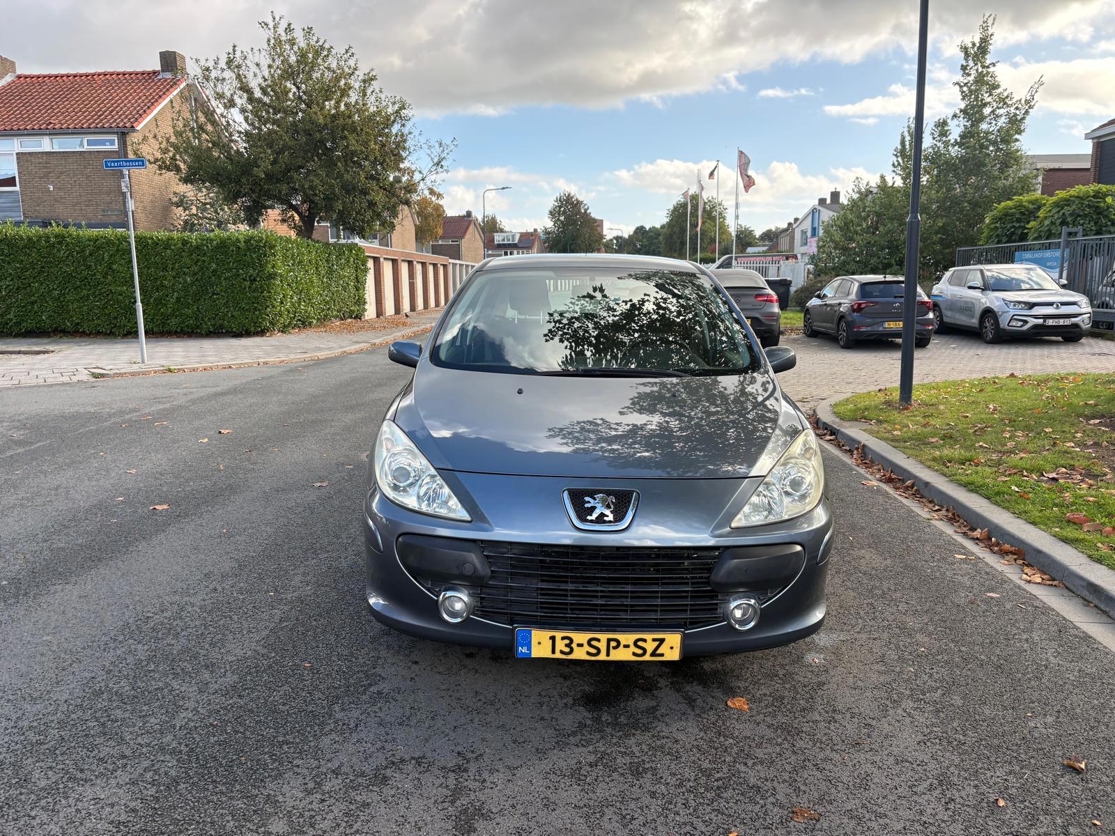 Foto van Peugeot 307