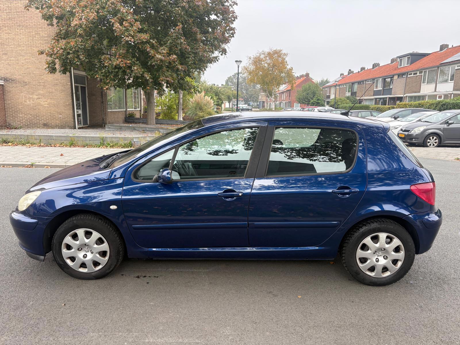 Foto van Peugeot 307