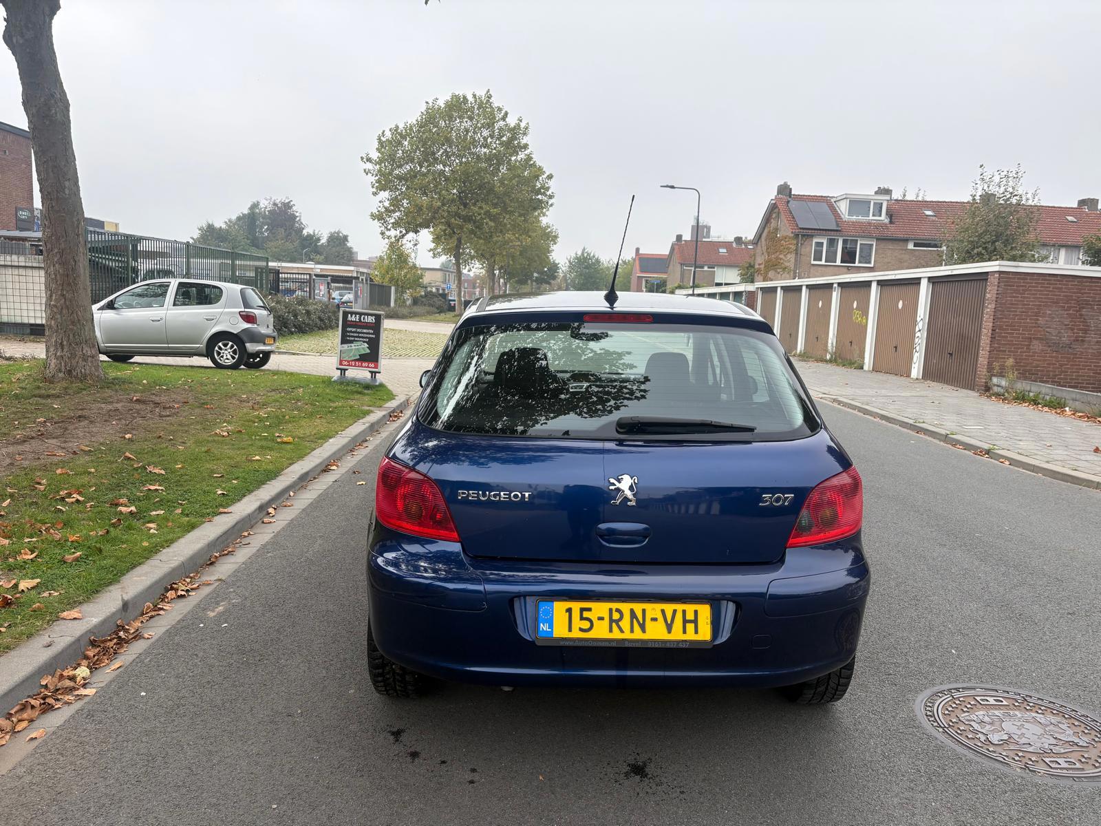 Foto van Peugeot 307