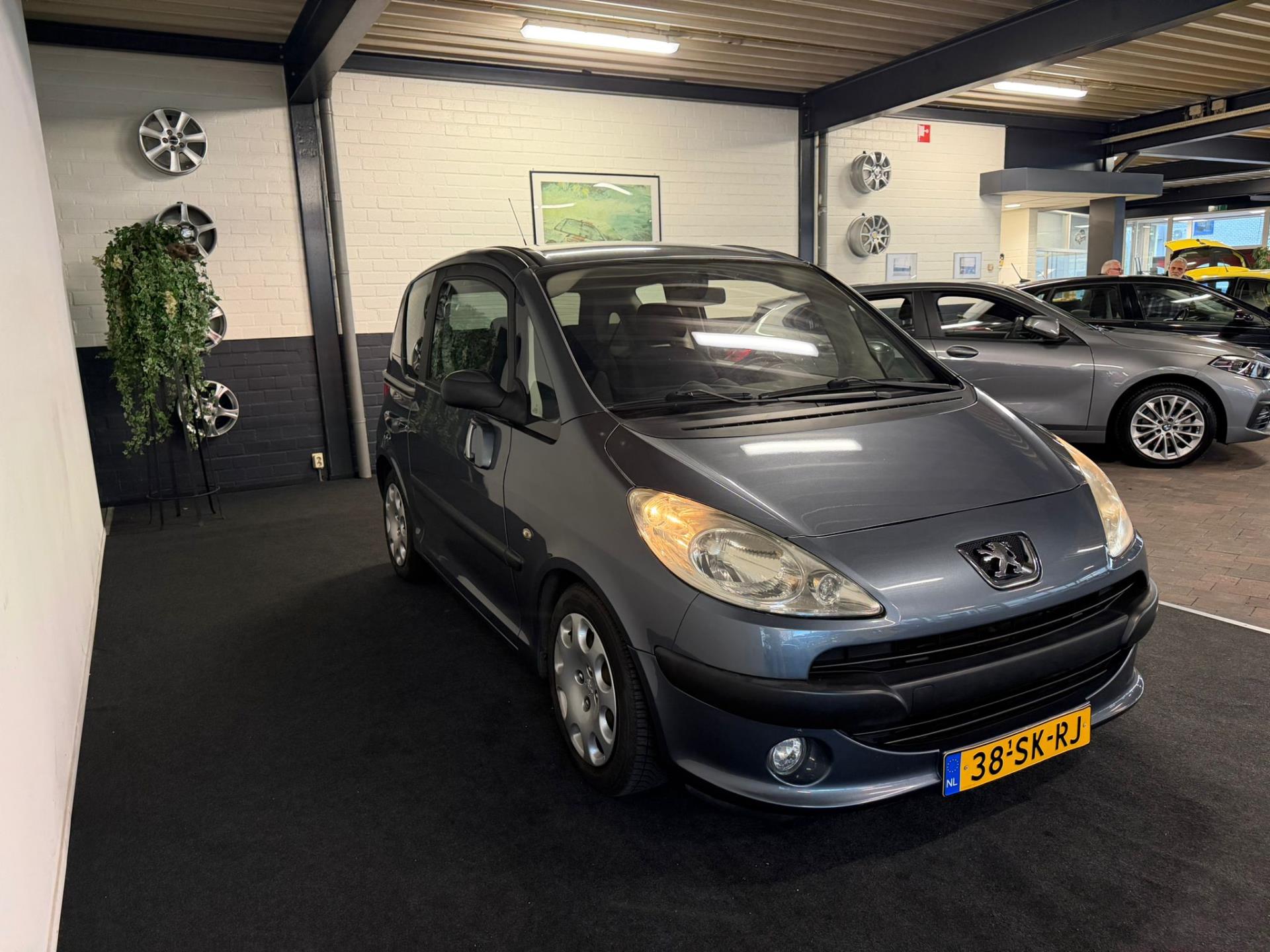 Foto van Peugeot 1007