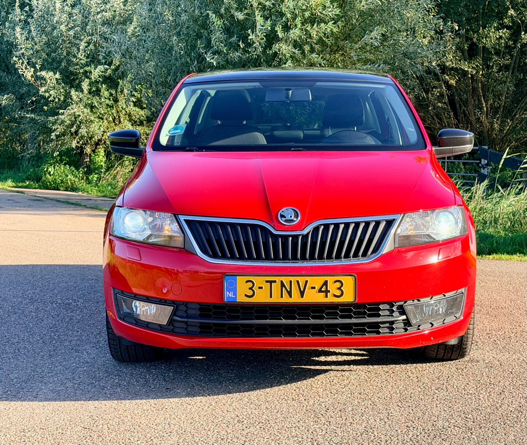 Foto van Skoda Rapid