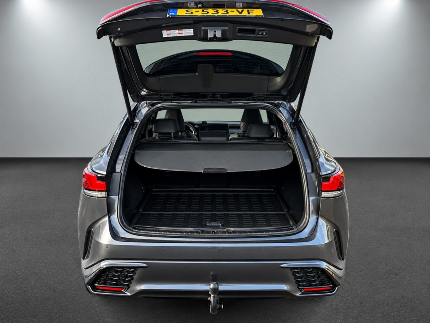 Foto van Lexus Lexus Rx500h