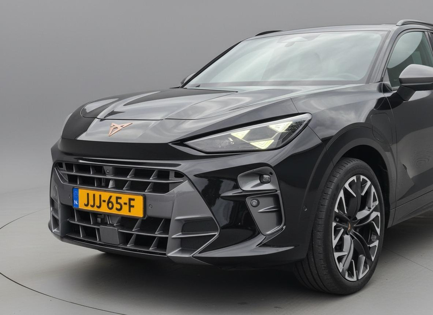 Foto van Cupra Terramar