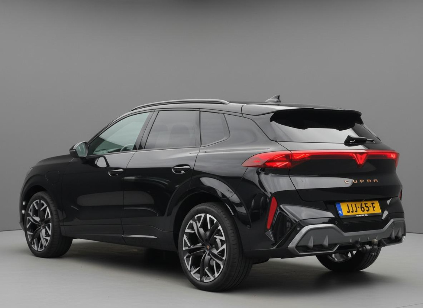 Foto van Cupra Terramar