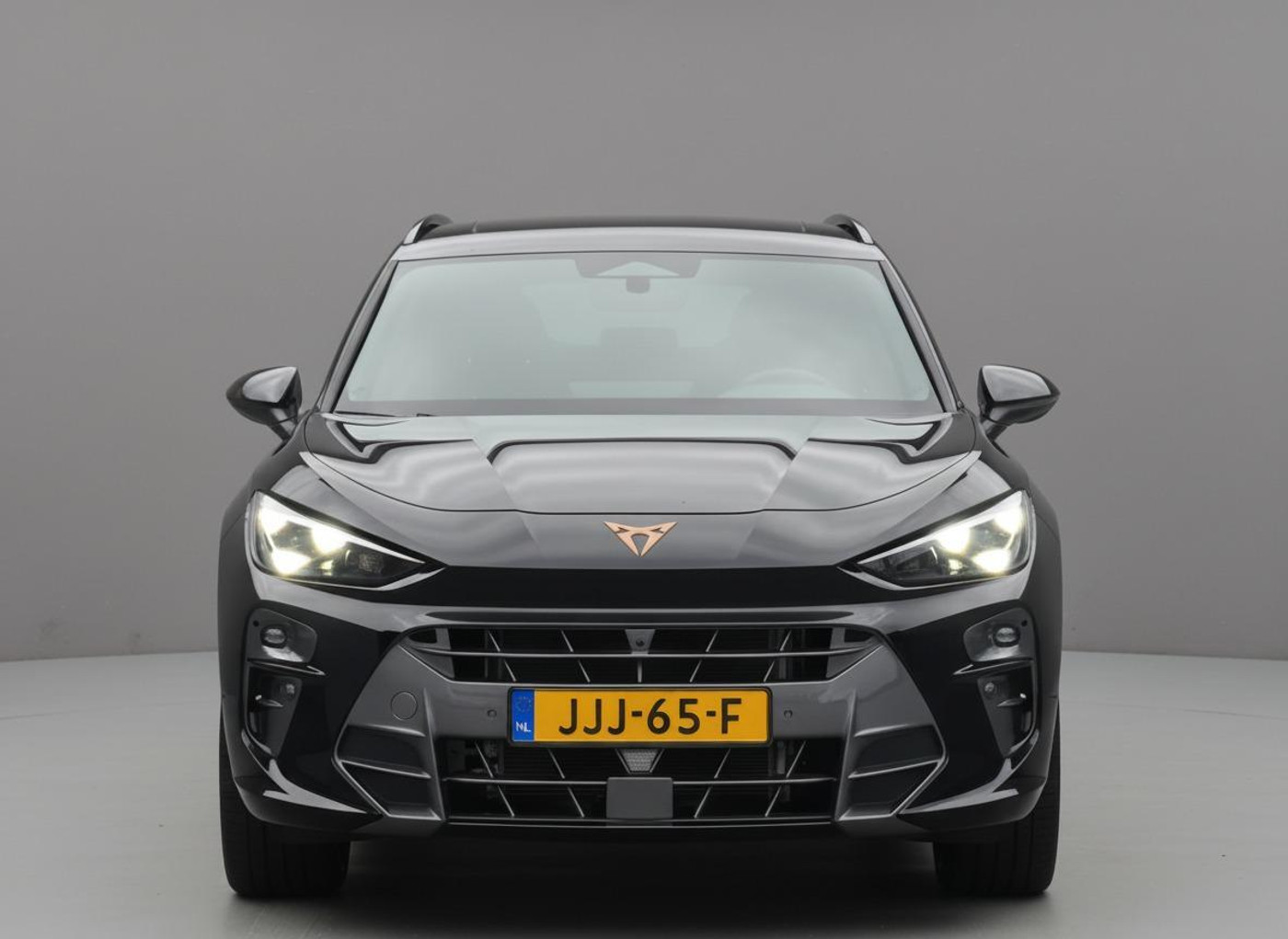 Foto van Cupra Terramar