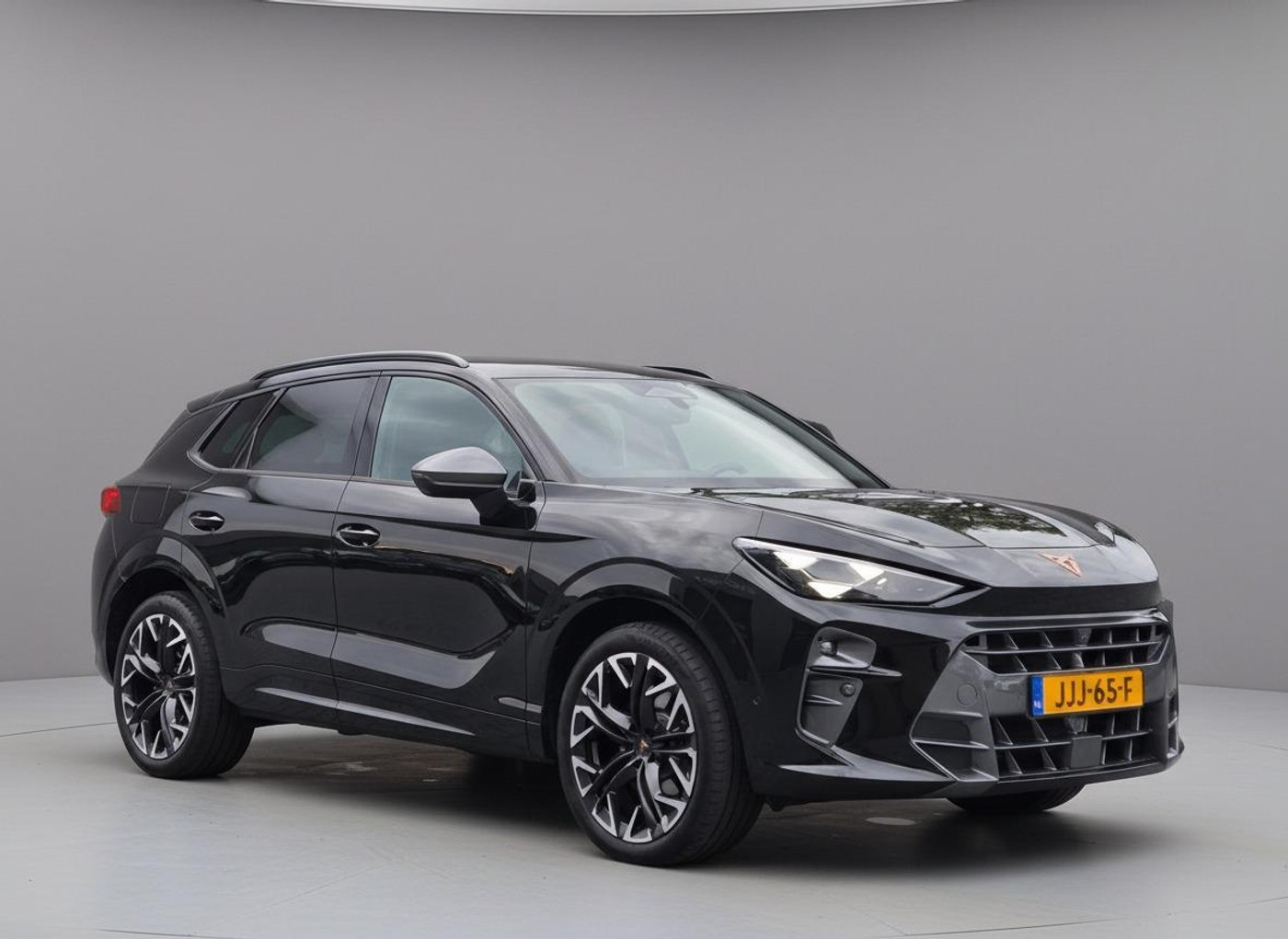 Foto van Cupra Terramar