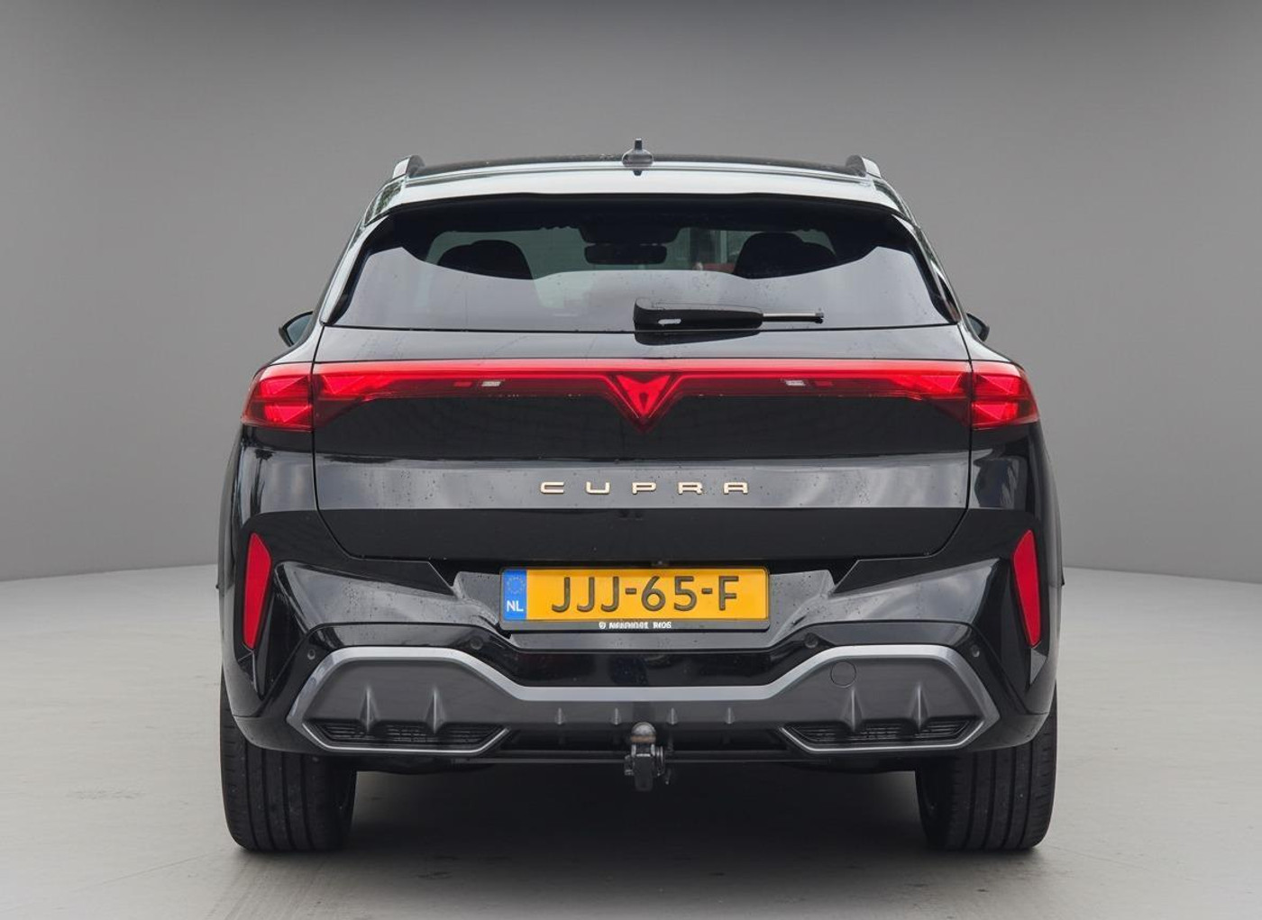 Foto van Cupra Terramar