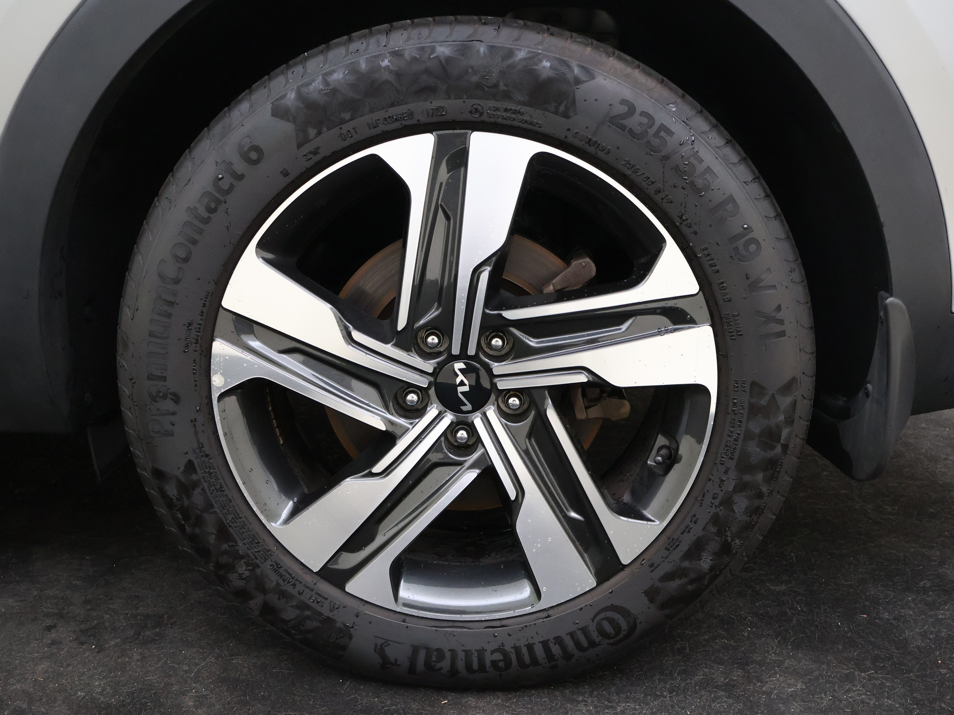 Foto van Kia Sorento