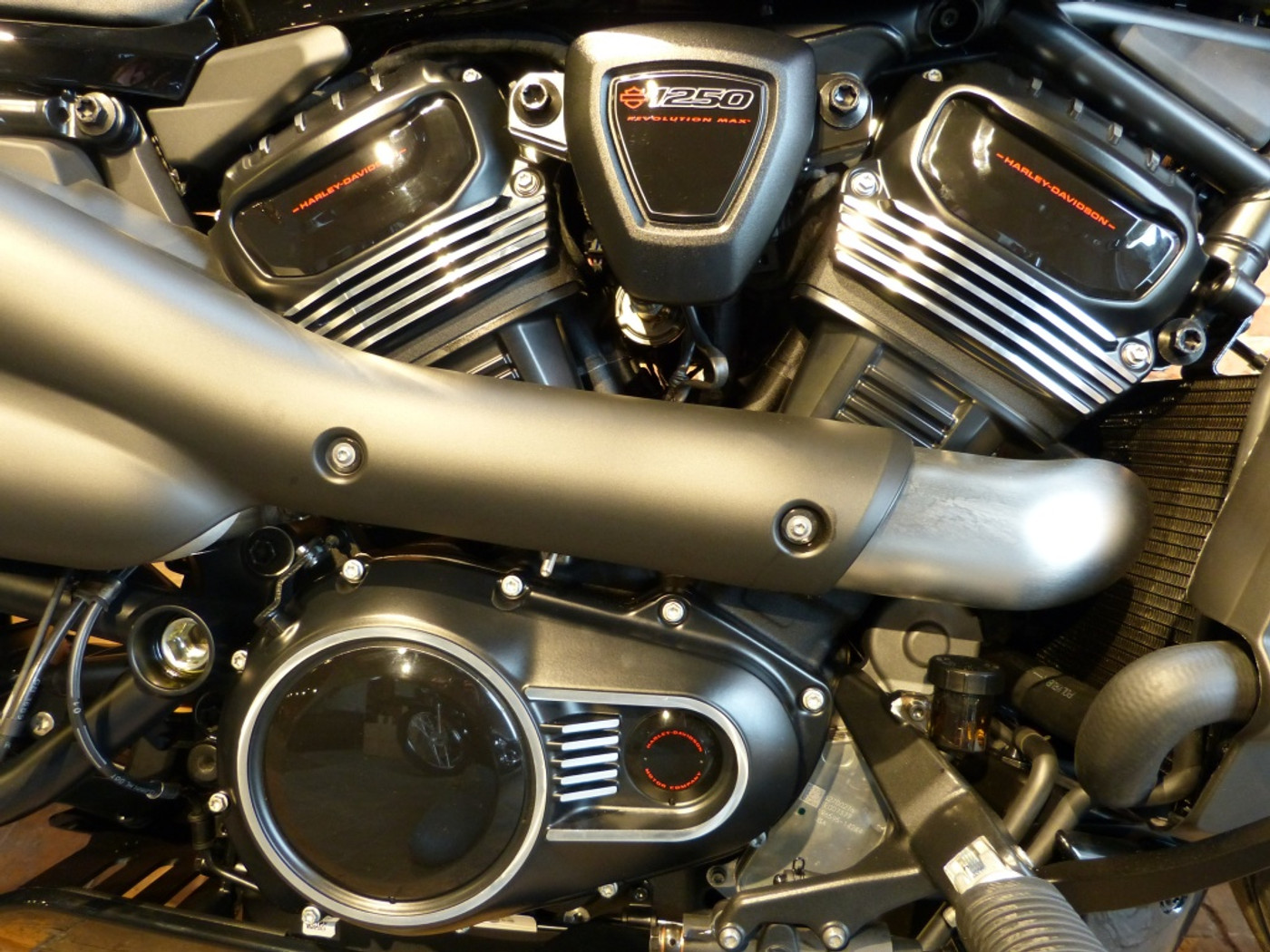 Foto van Harley-davidson Sportster