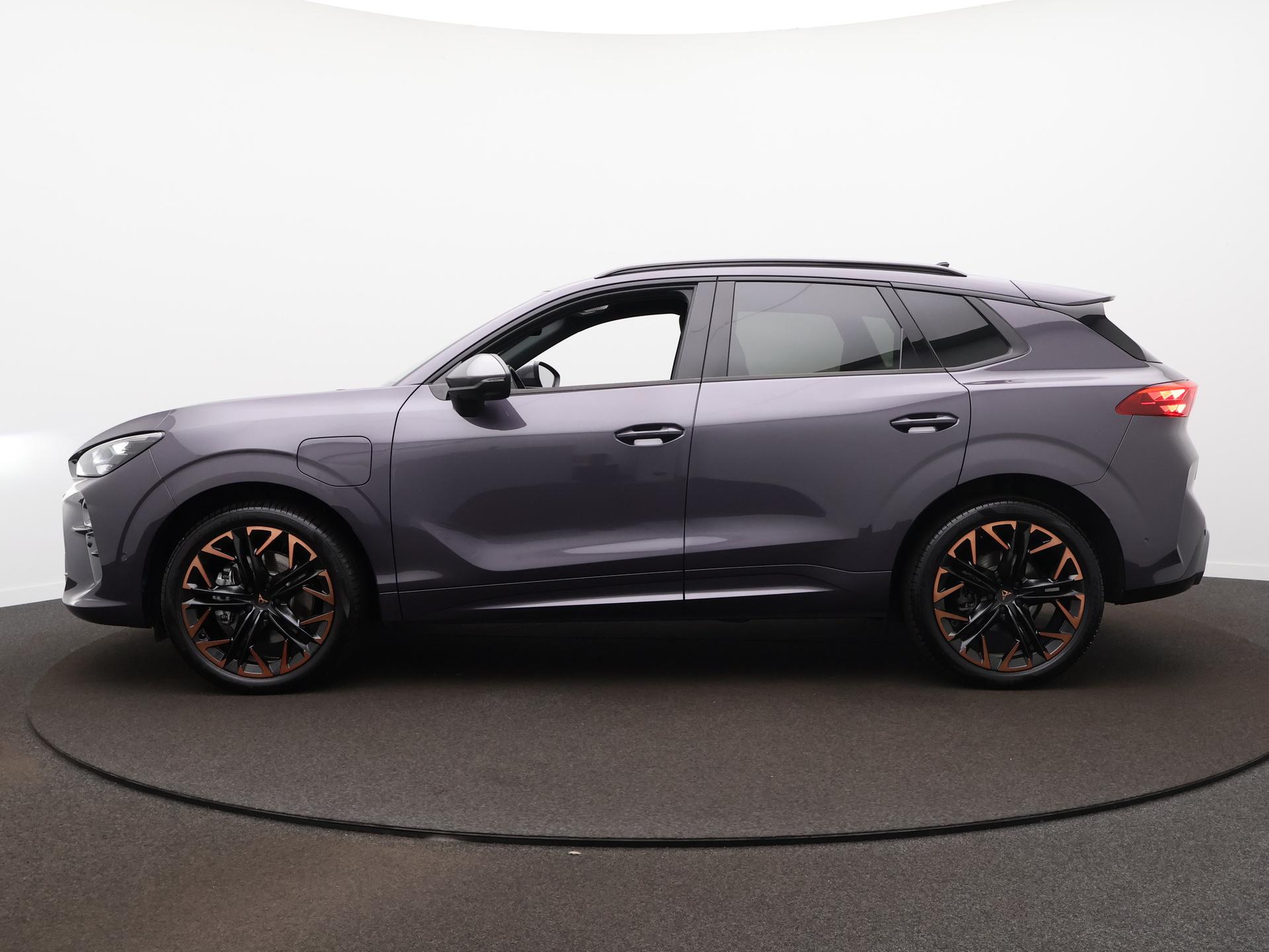 Foto van Cupra Terramar