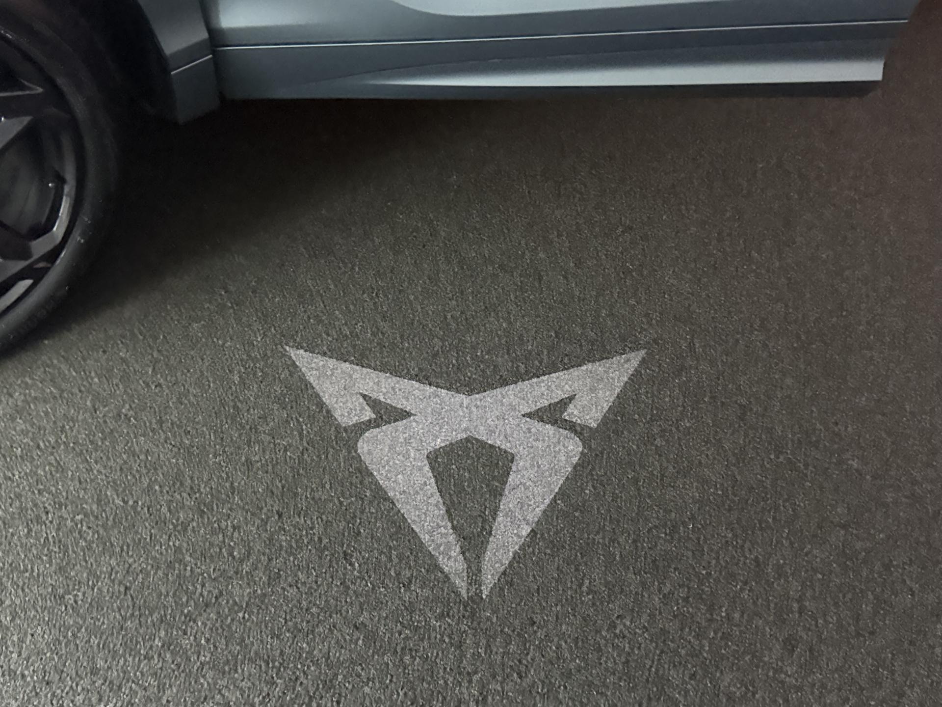 Foto van Cupra Terramar