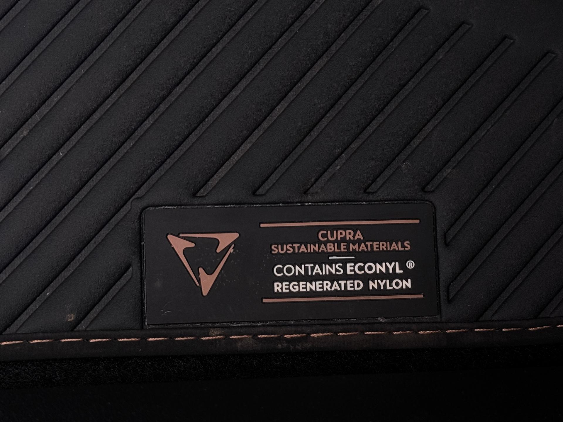 Foto van Cupra Terramar