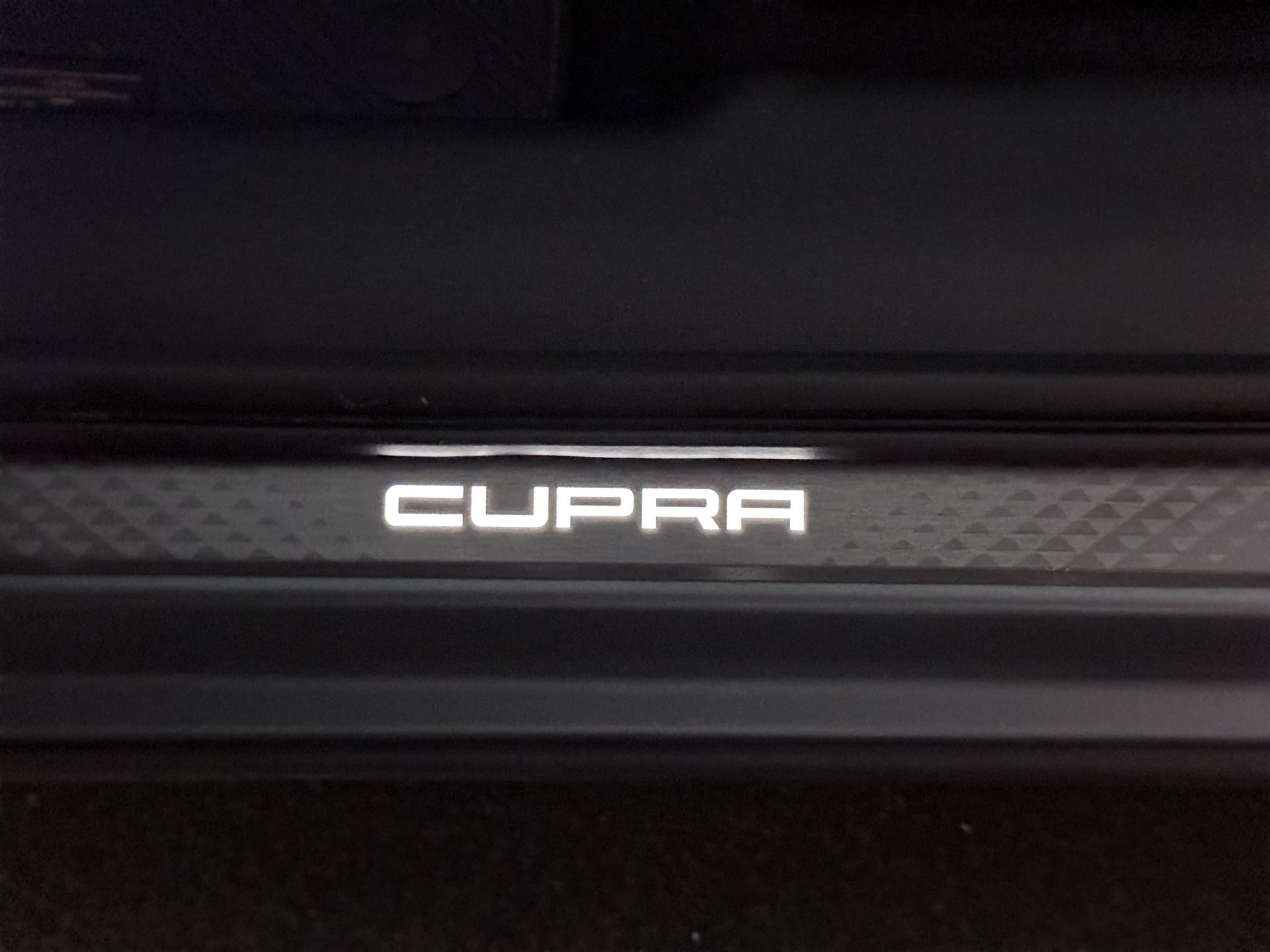Foto van Cupra Terramar