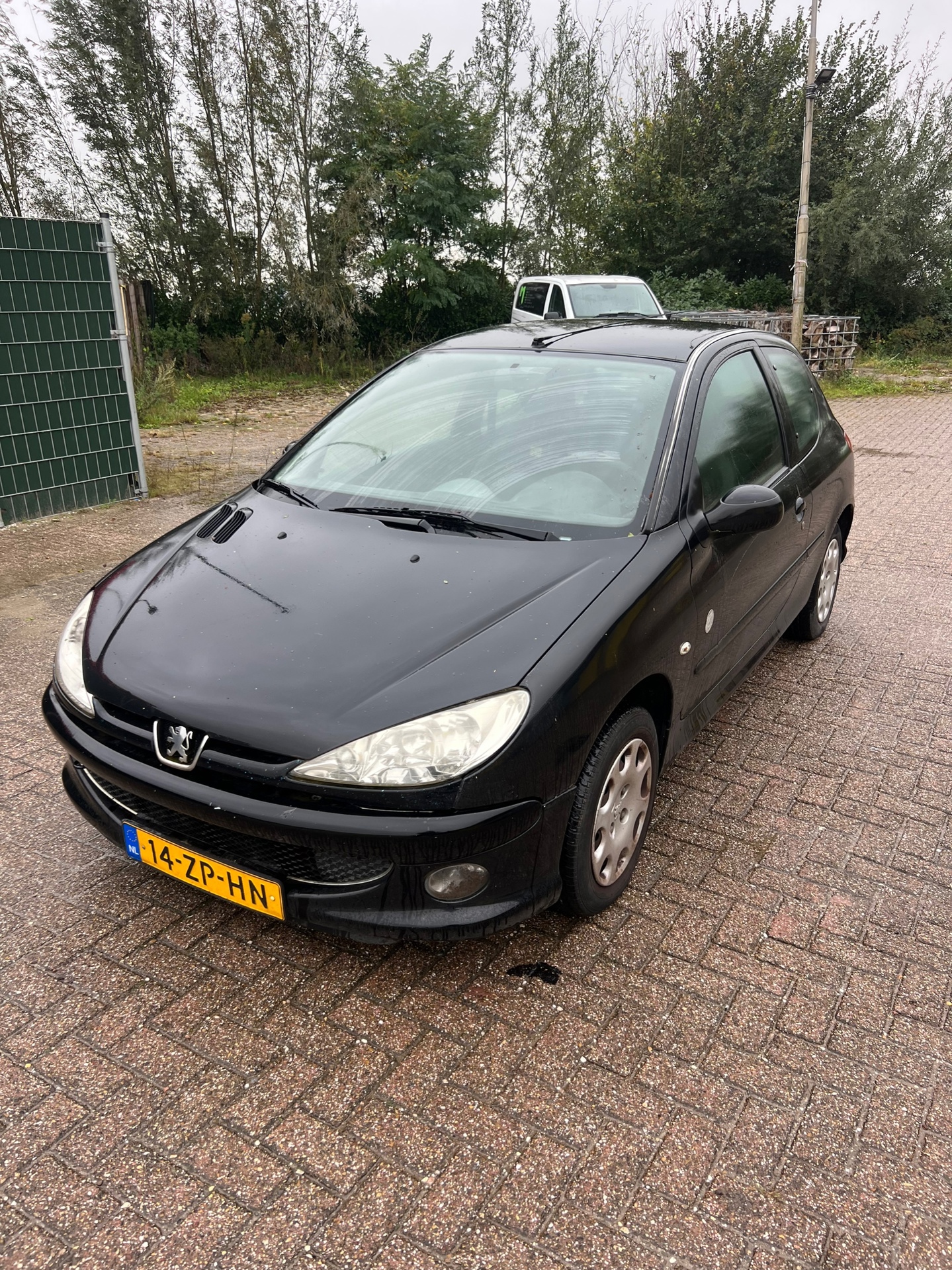 Foto van Peugeot 206