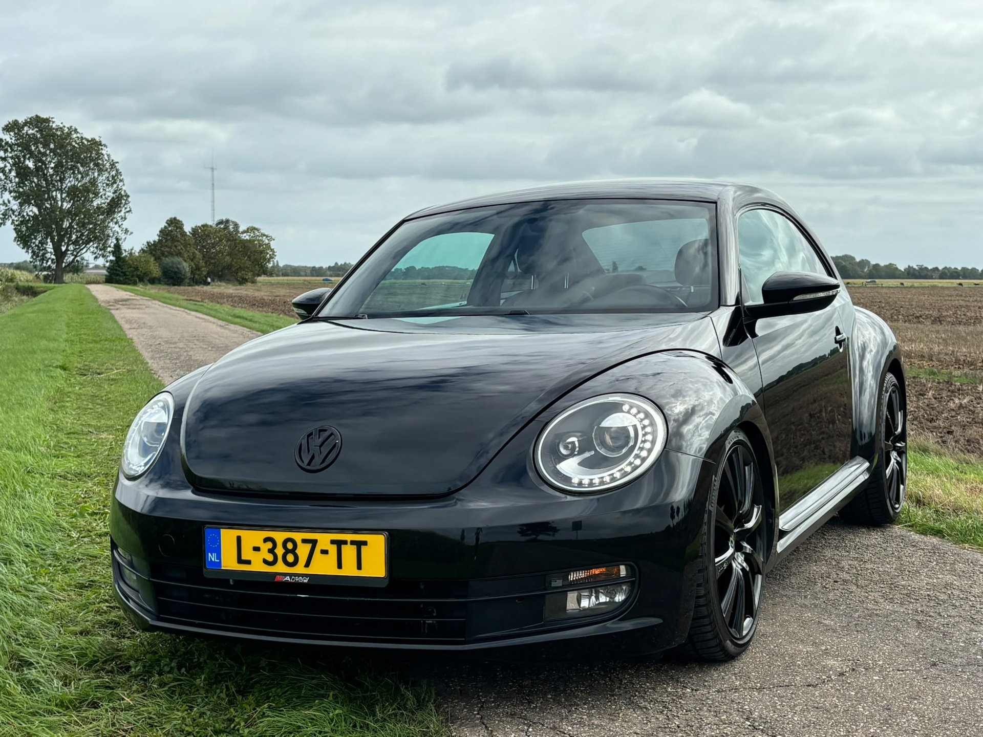 Foto van Volkswagen Beetle